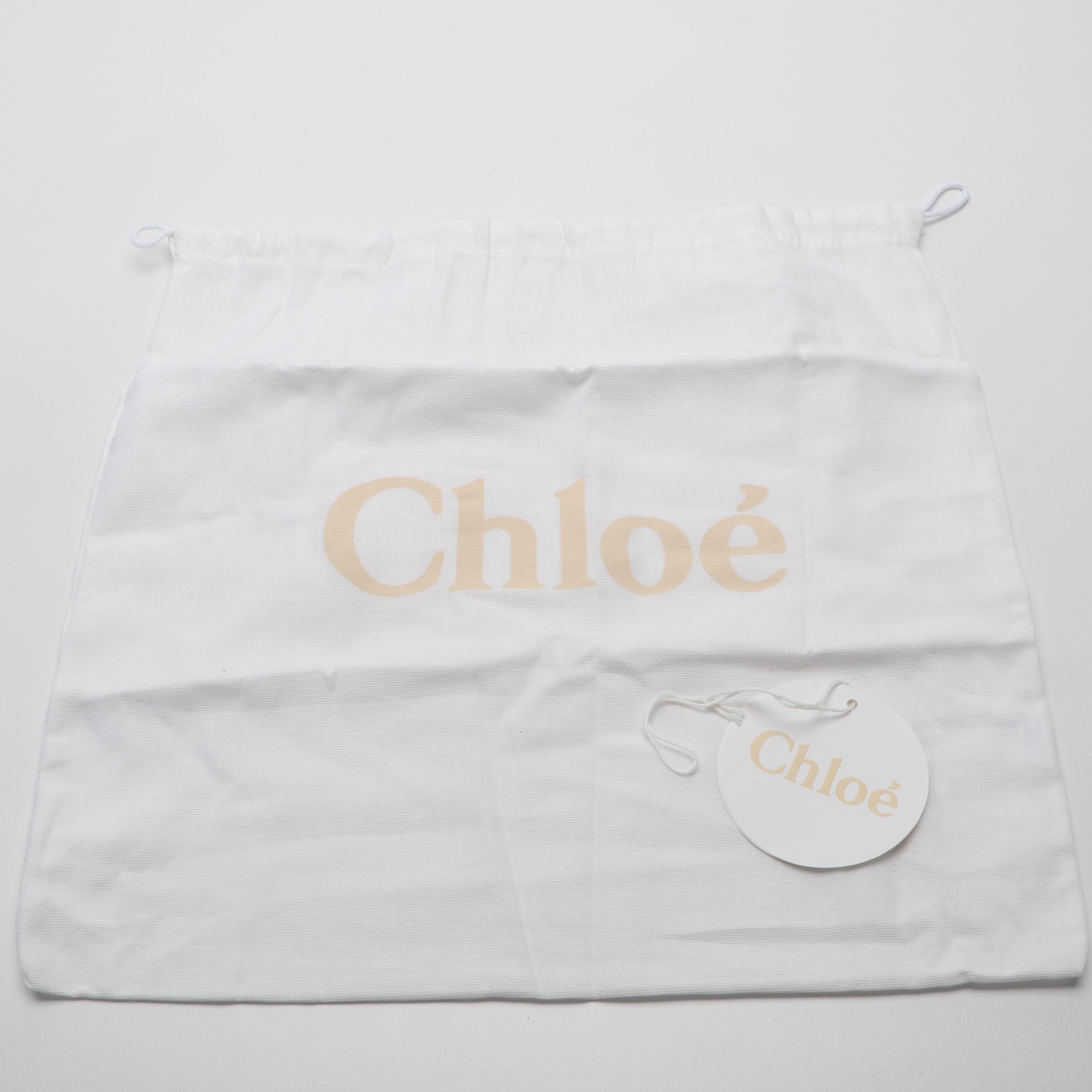 Chloé Faye Mini Chain Crossbody Bag in Blue Suede and Leather