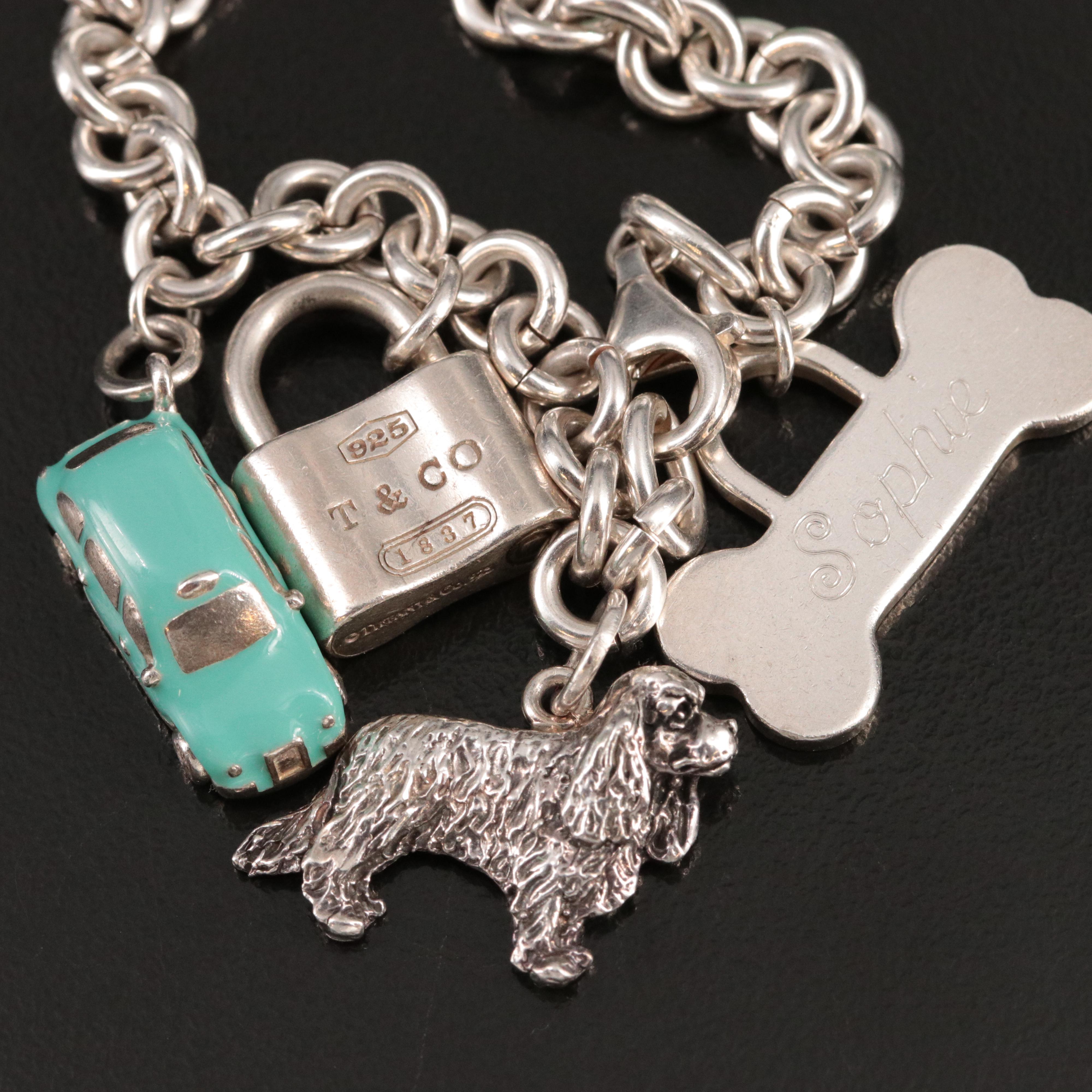 Tiffany & Co. Sterling Charms with Rolo Link Bracelet
