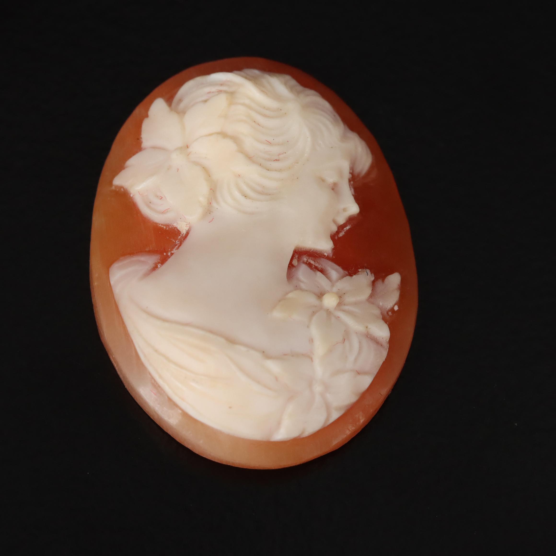 Coral, Seed Pearl and Shell Jewelry ft. Cameos, Goddess and Necklace