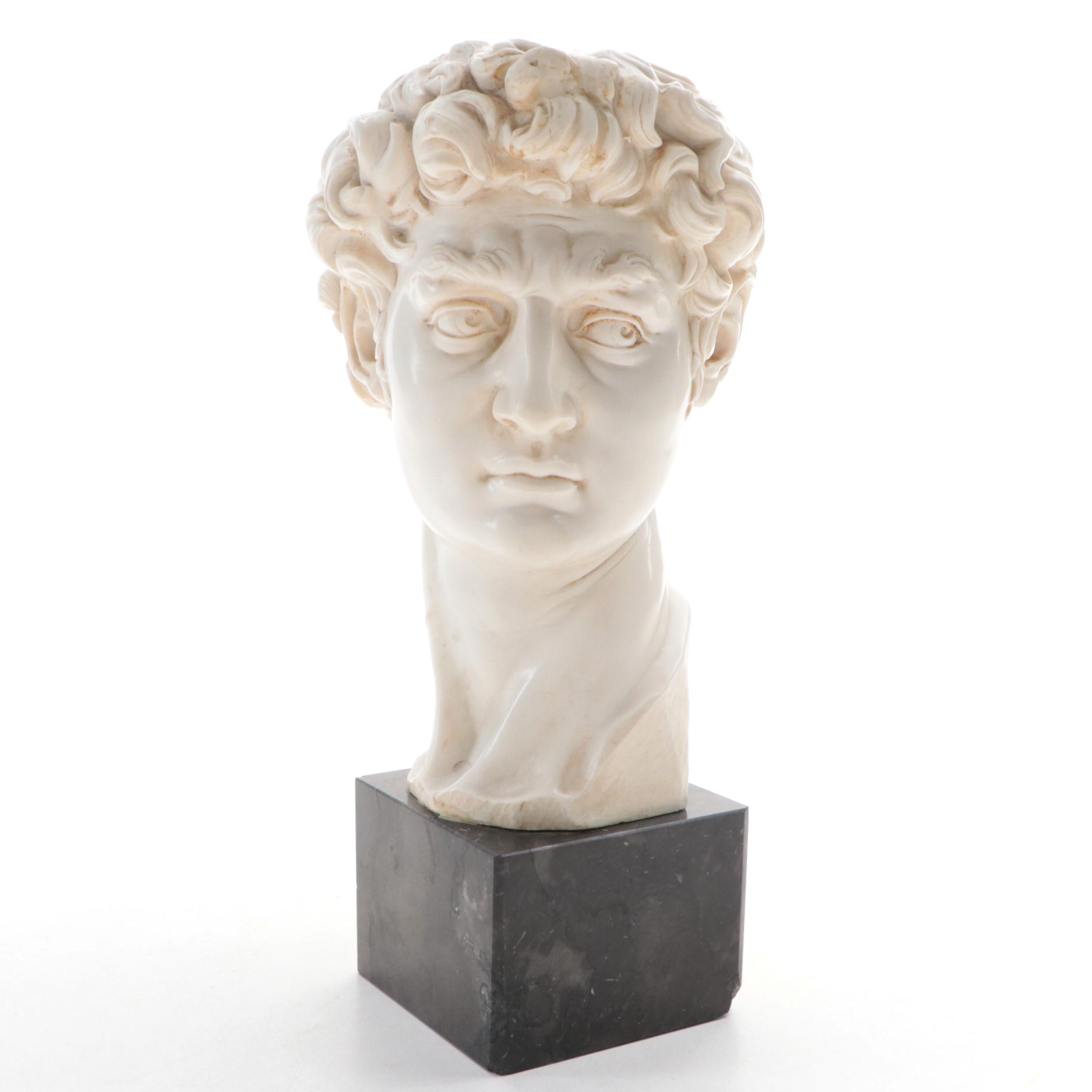G. Ruggieri Marble Composite Replica Bust after Michelangelo's "David"