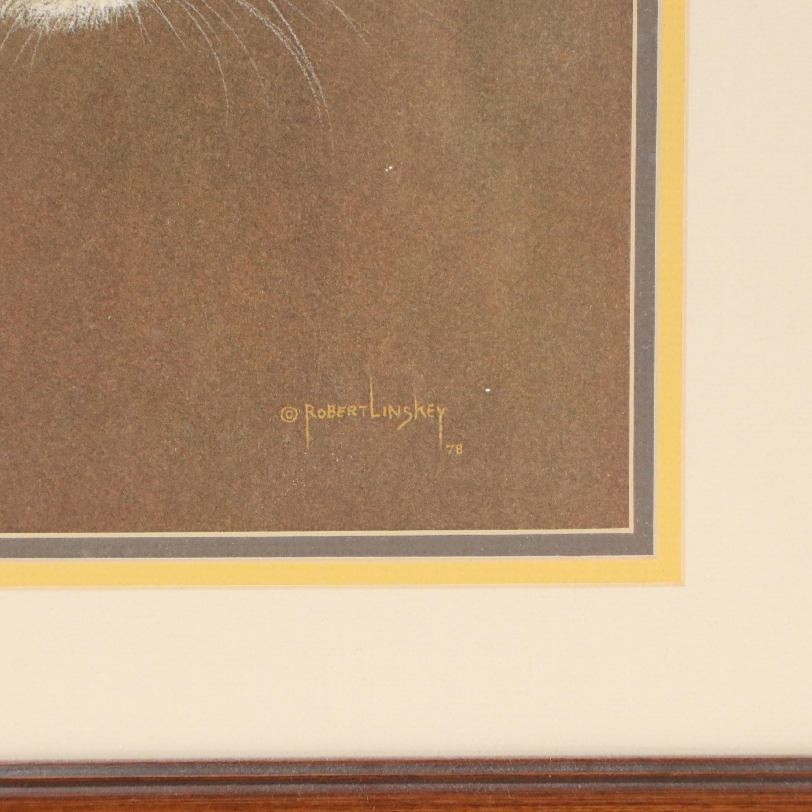 Robert Linskey Offset Print of Cat in Cardboard Box