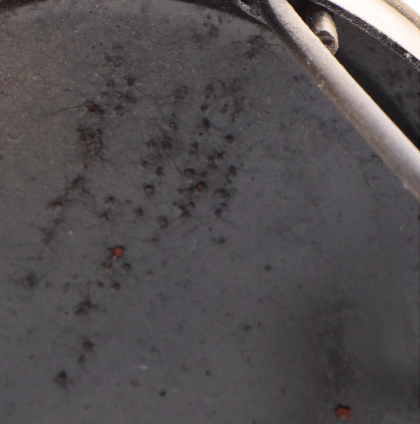 Victorian Style Bent Wire Heart Shaped Back Ice Cream Parlor Children's Chairs