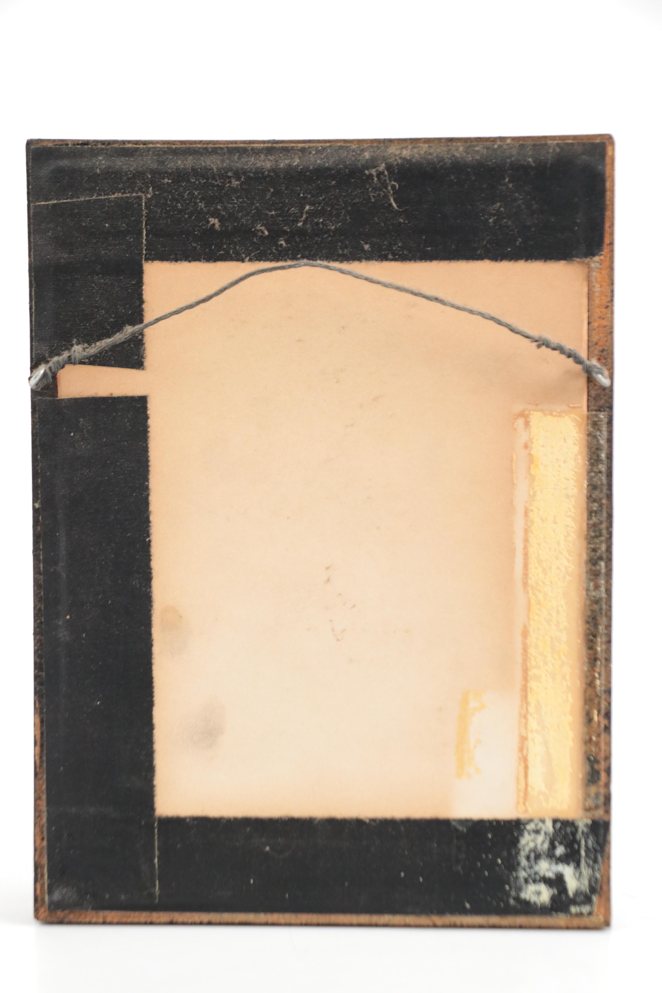 Taxidermy King Swallowtails, White-Head Batwing, Julia, More Butterfly Specimens