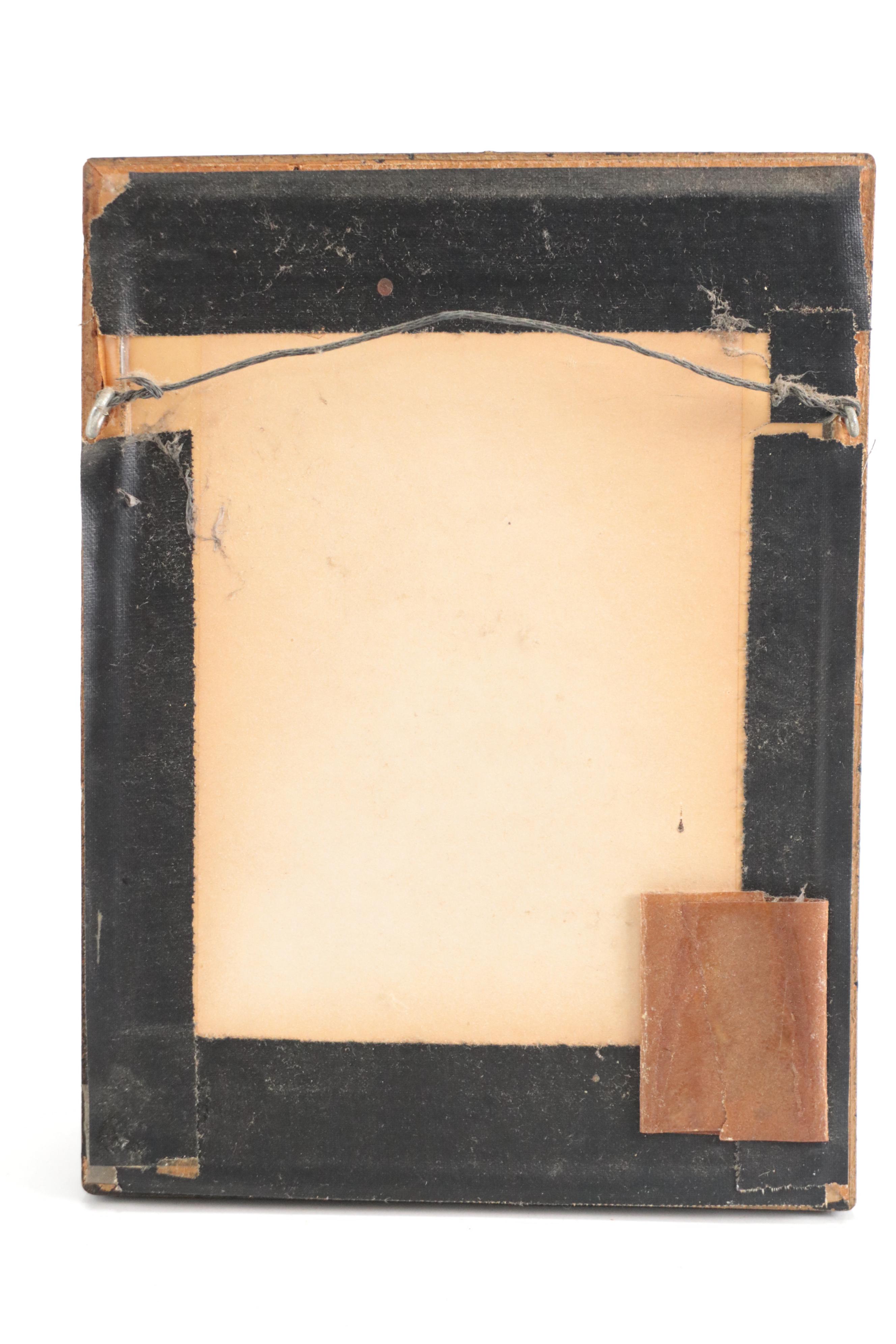 Taxidermy King Swallowtails, White-Head Batwing, Julia, More Butterfly Specimens