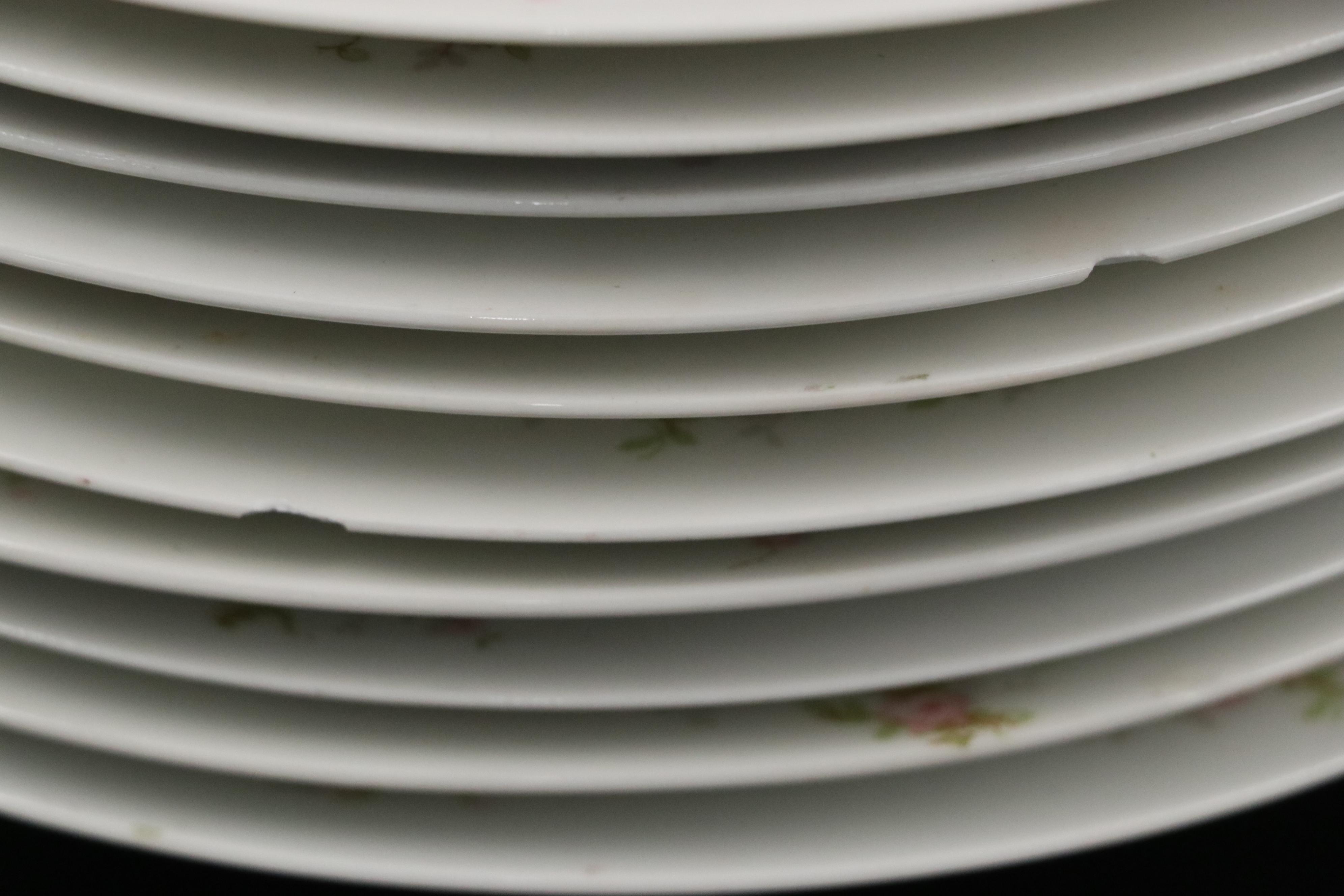 Haviland Limoges "Apple Blossom" with Other Dinnerware and Serving Pieces