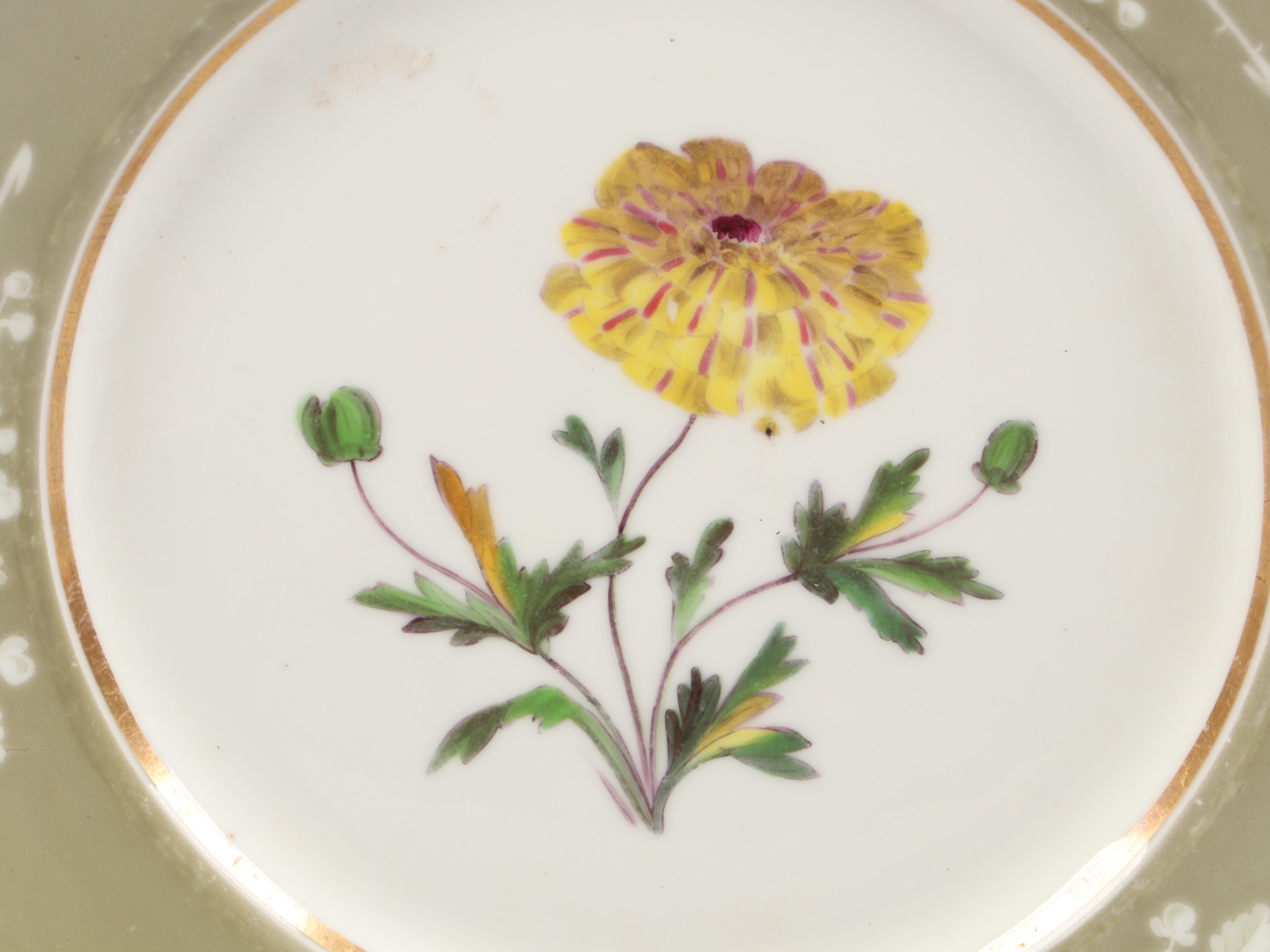 English Porcelain Botanical Dessert Service, Early to Mid-19th Century