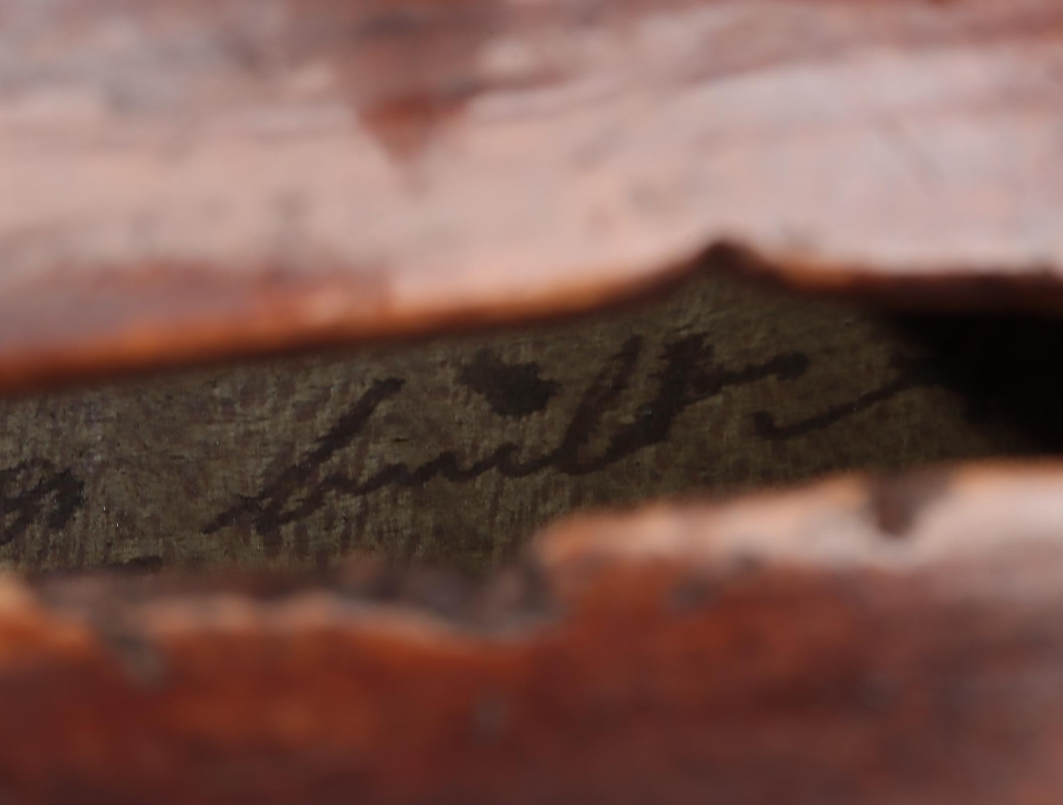 L.D. Pascoe Spruce and Maple 4/4 Violin with Adolf Thoma Bow