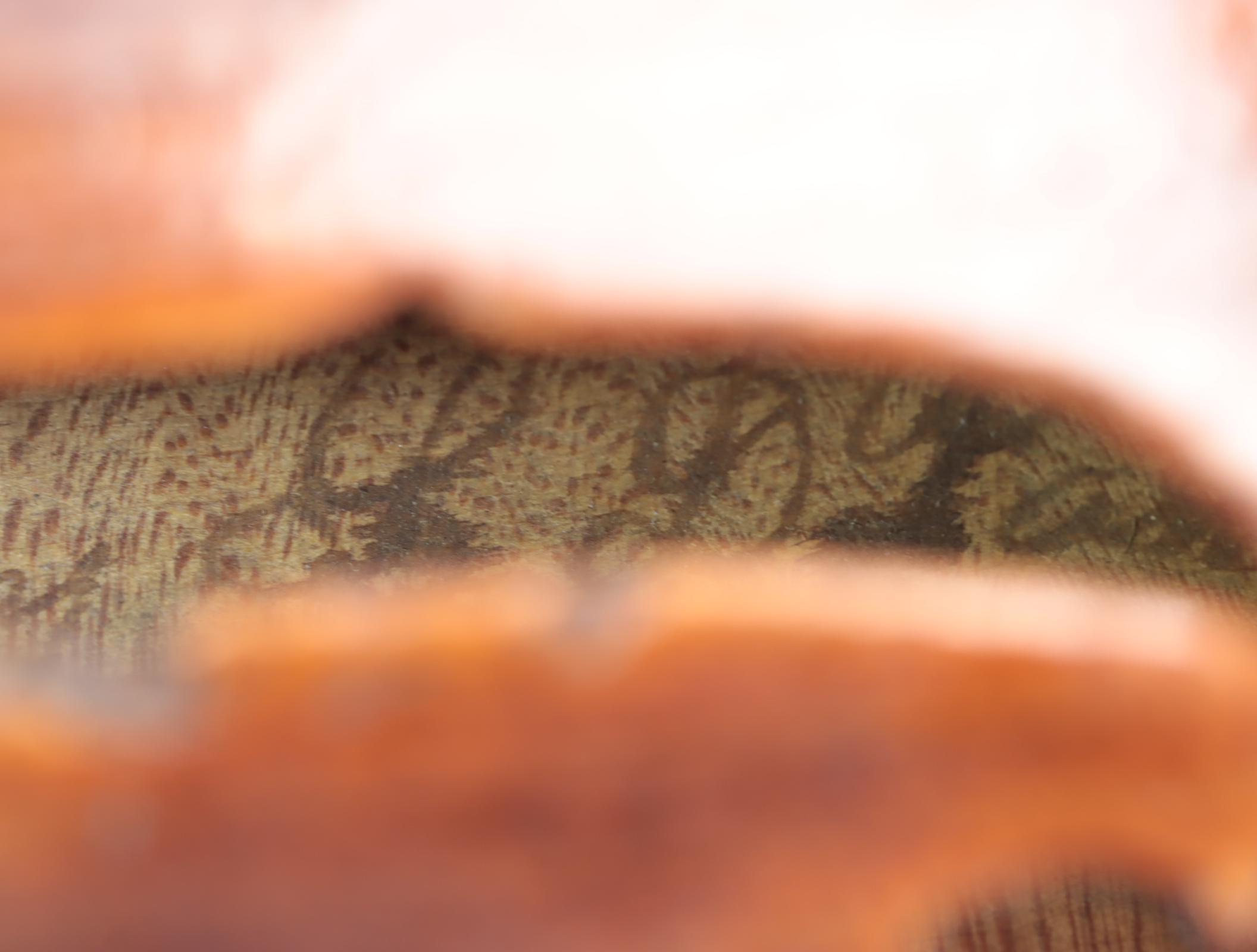 L.D. Pascoe Spruce and Maple 4/4 Violin with Adolf Thoma Bow