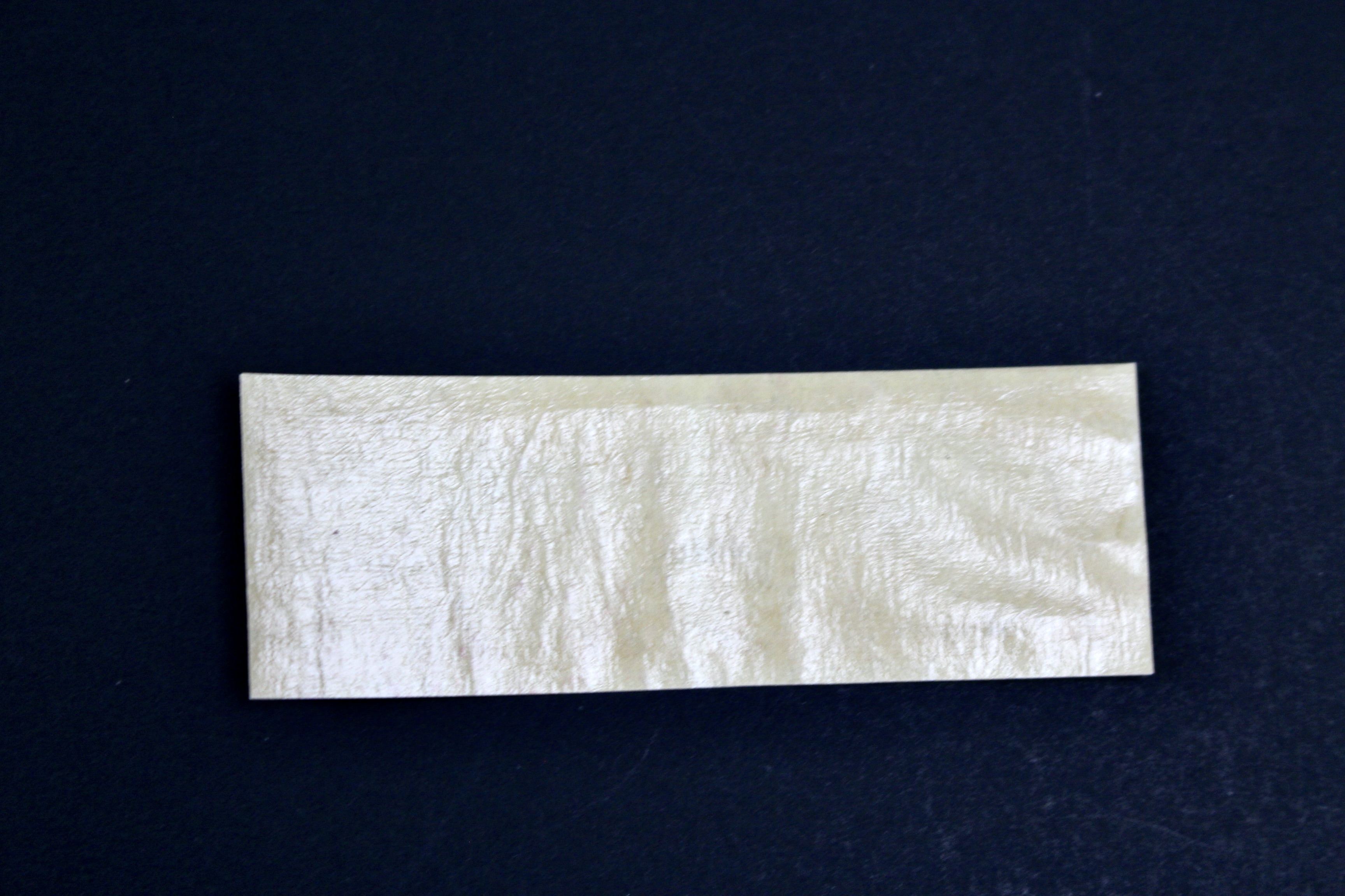 Twelve Early U.S. Postage Stamps, 1907 to 1909