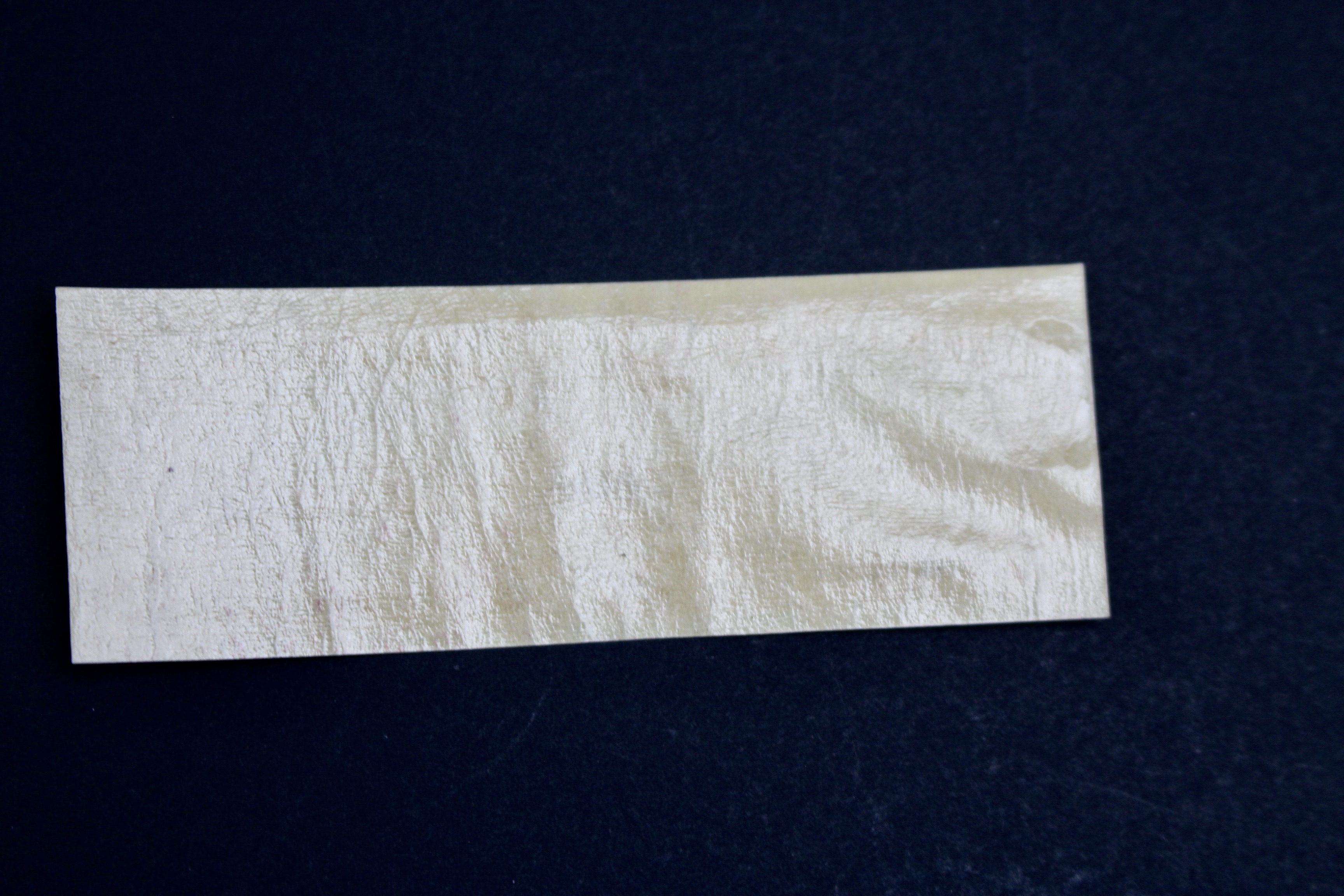 Twelve Early U.S. Postage Stamps, 1907 to 1909