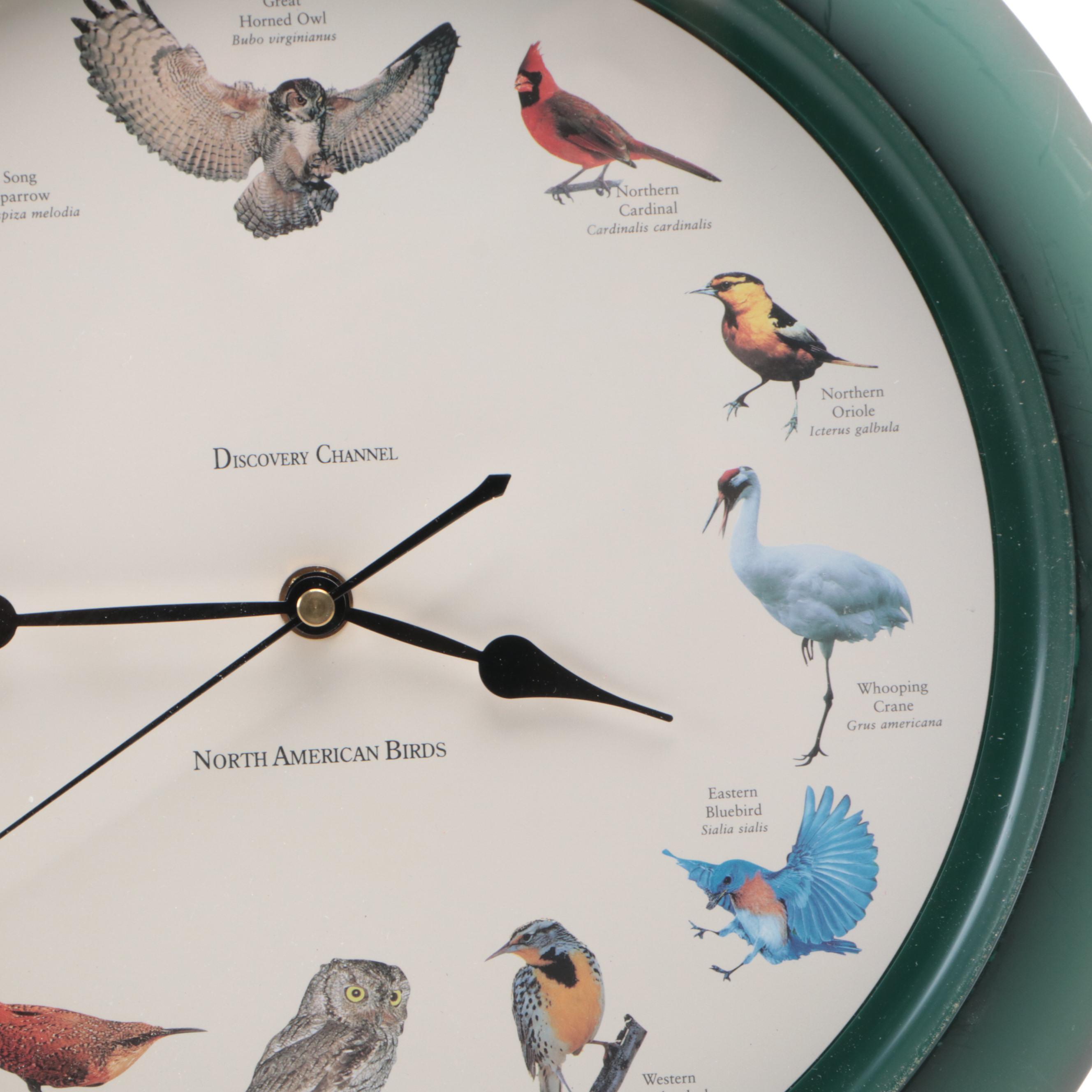 Discovery Channel Novelty "North American Birds" Wall Clock