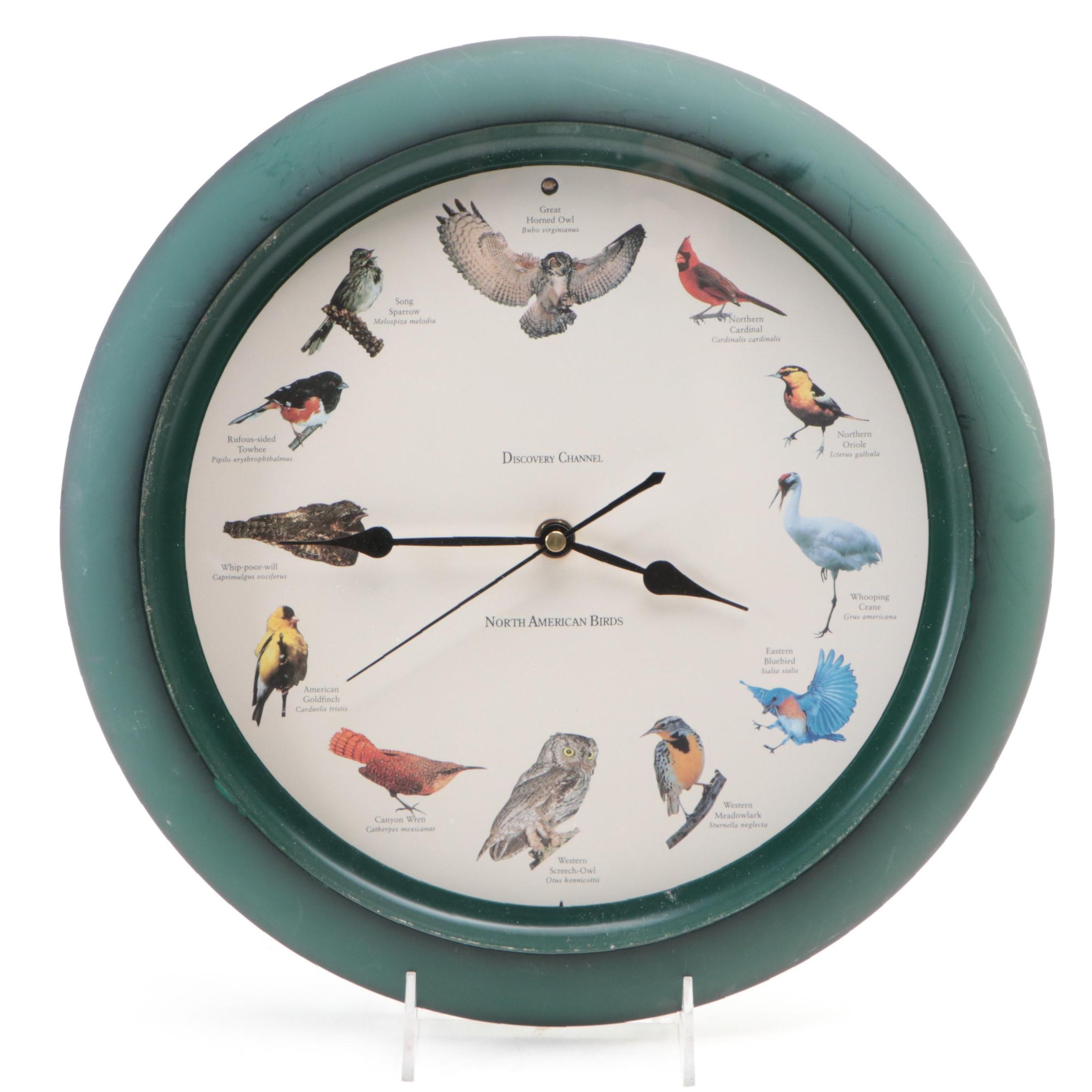 Discovery Channel Novelty "North American Birds" Wall Clock