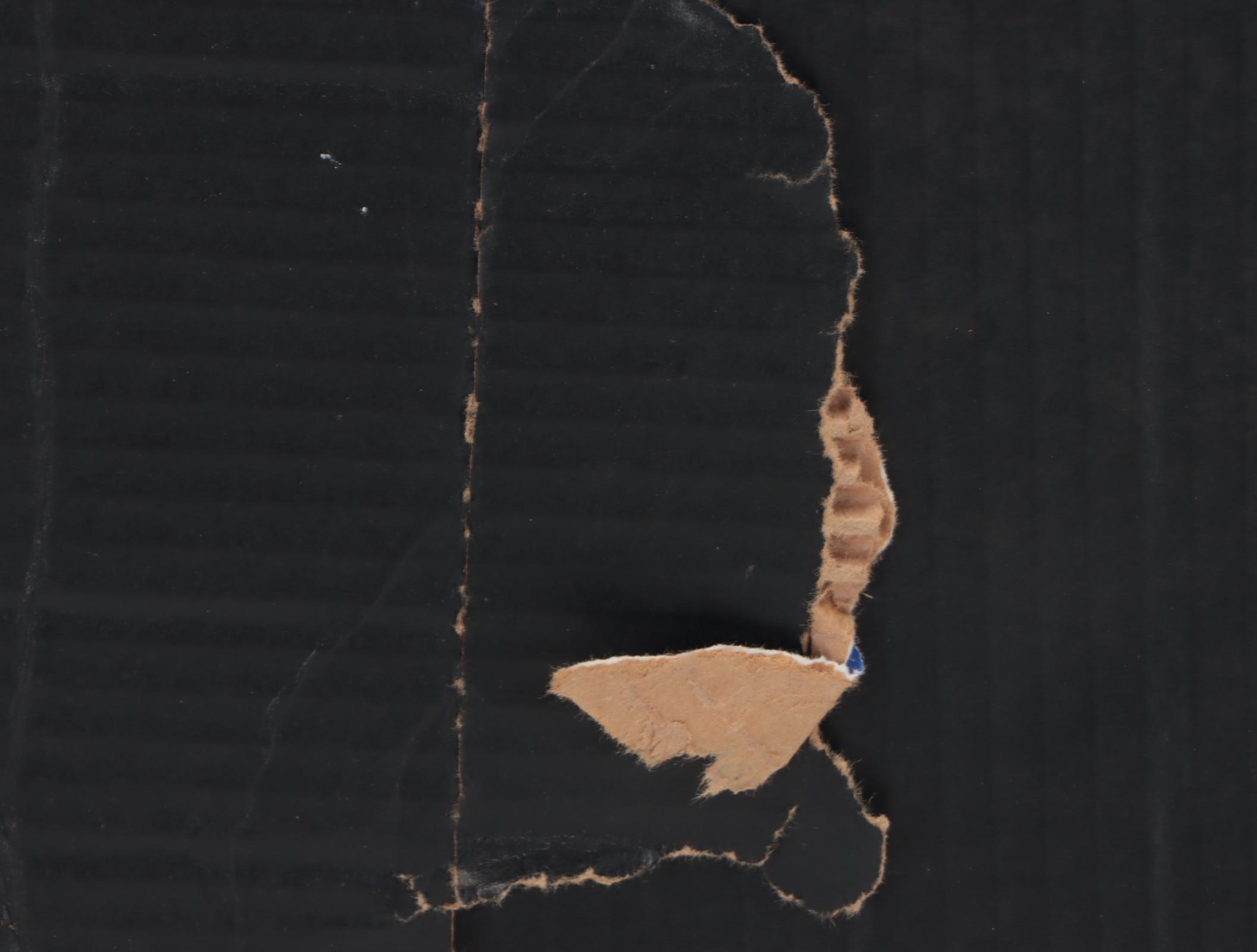 "Star Wars" Ewan McGregor as Obi-Wan Kenobi and Lightsaber Cardboard Cutouts