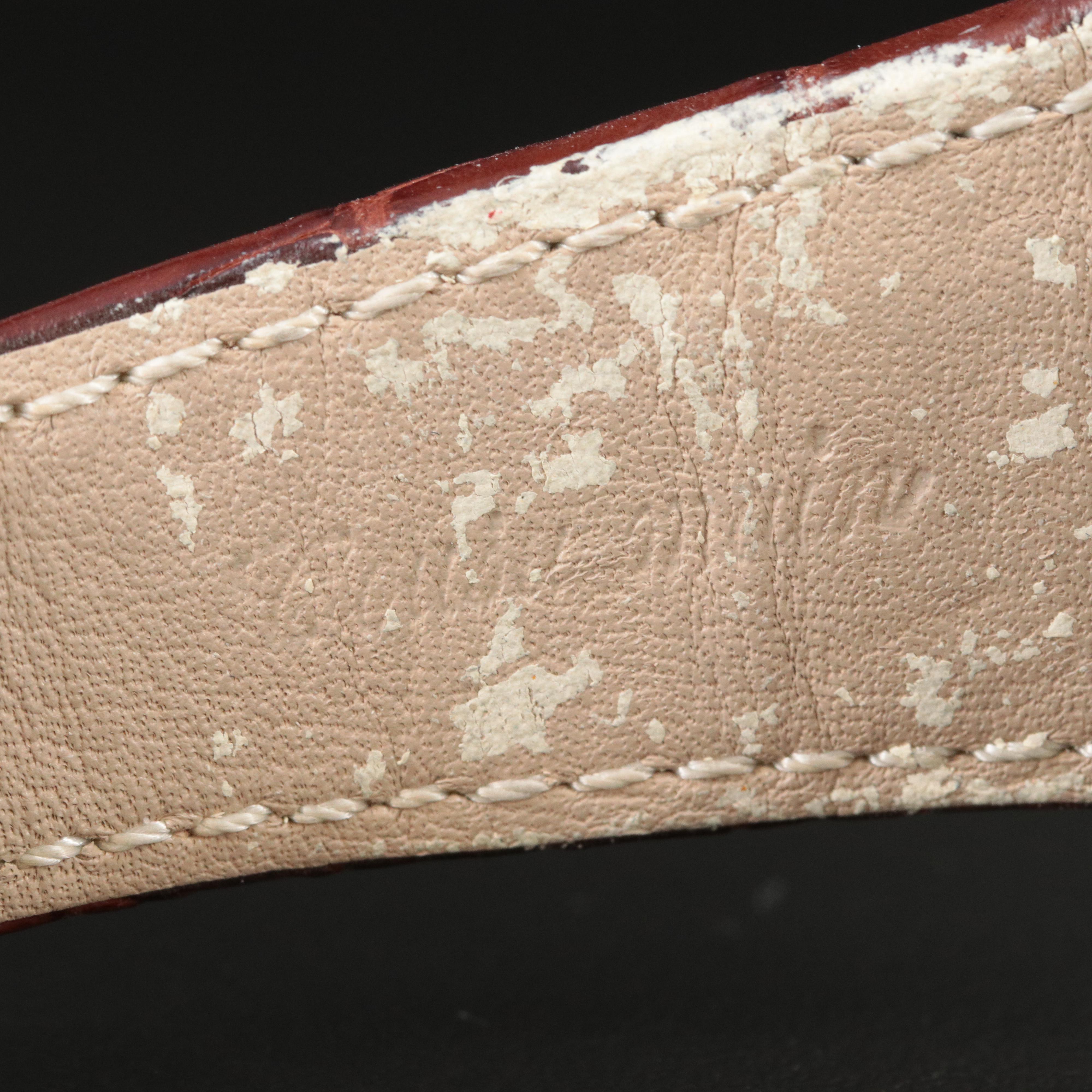 Audemars Piguet Arnold Schwarzenegger Royal Oak Offshore Watch