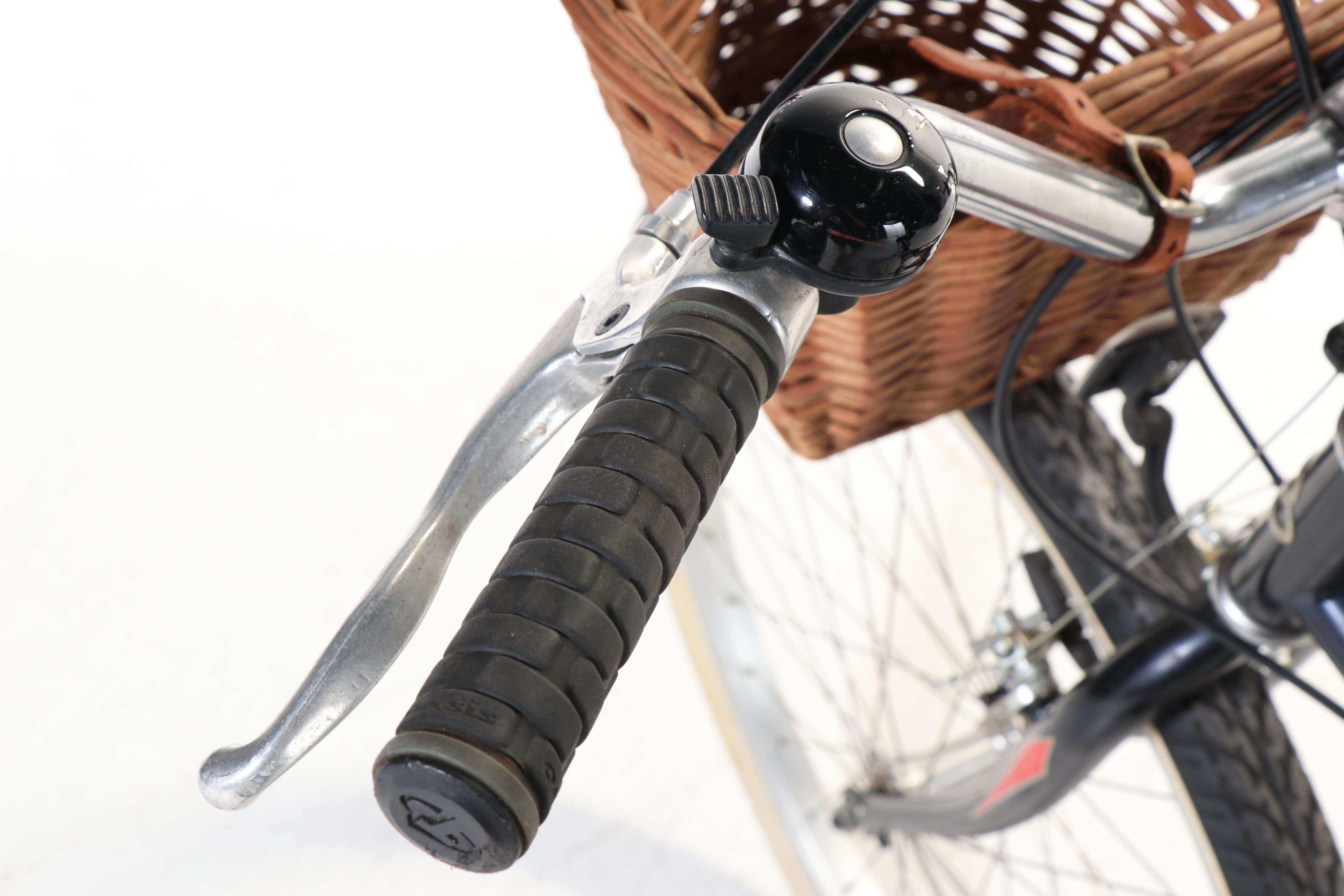 Trek Calypso Step-Through Bicycle with Oasis Seat and Handlebar Wicker Basket