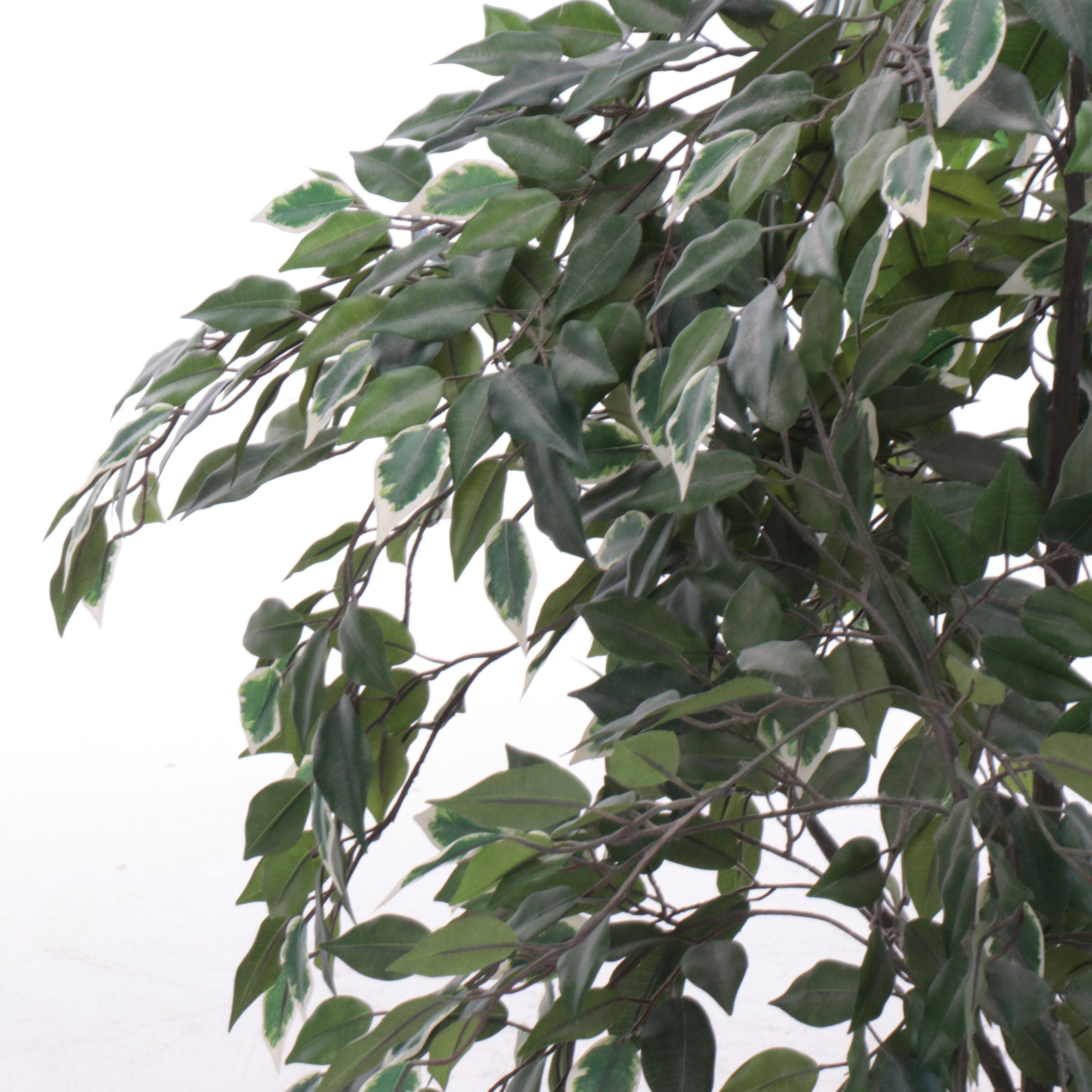 Artificial Ficus Plant with Mahogany Finish Wood Planter Everything