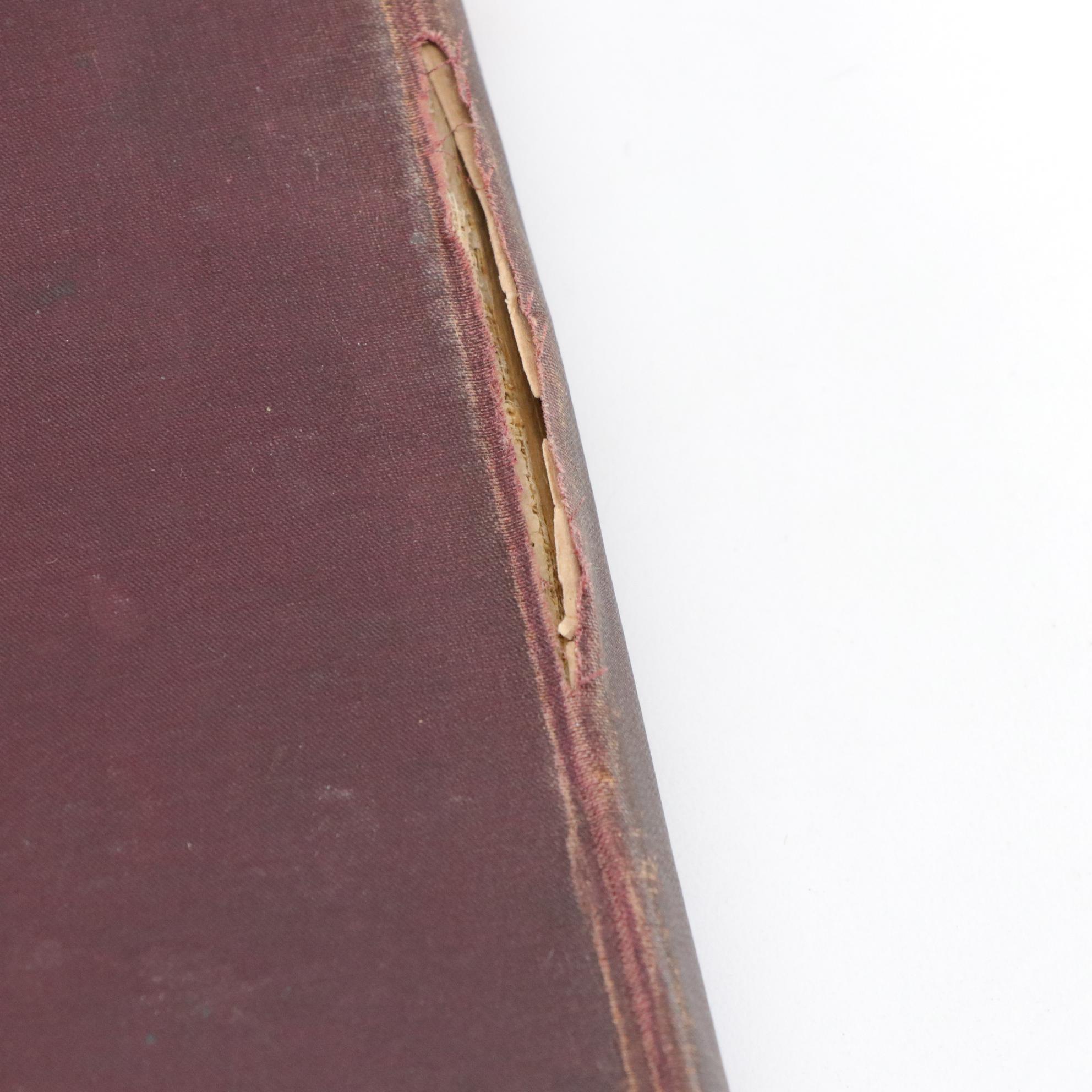 Children's Books Featuring "Young People's Scrap Book" and More