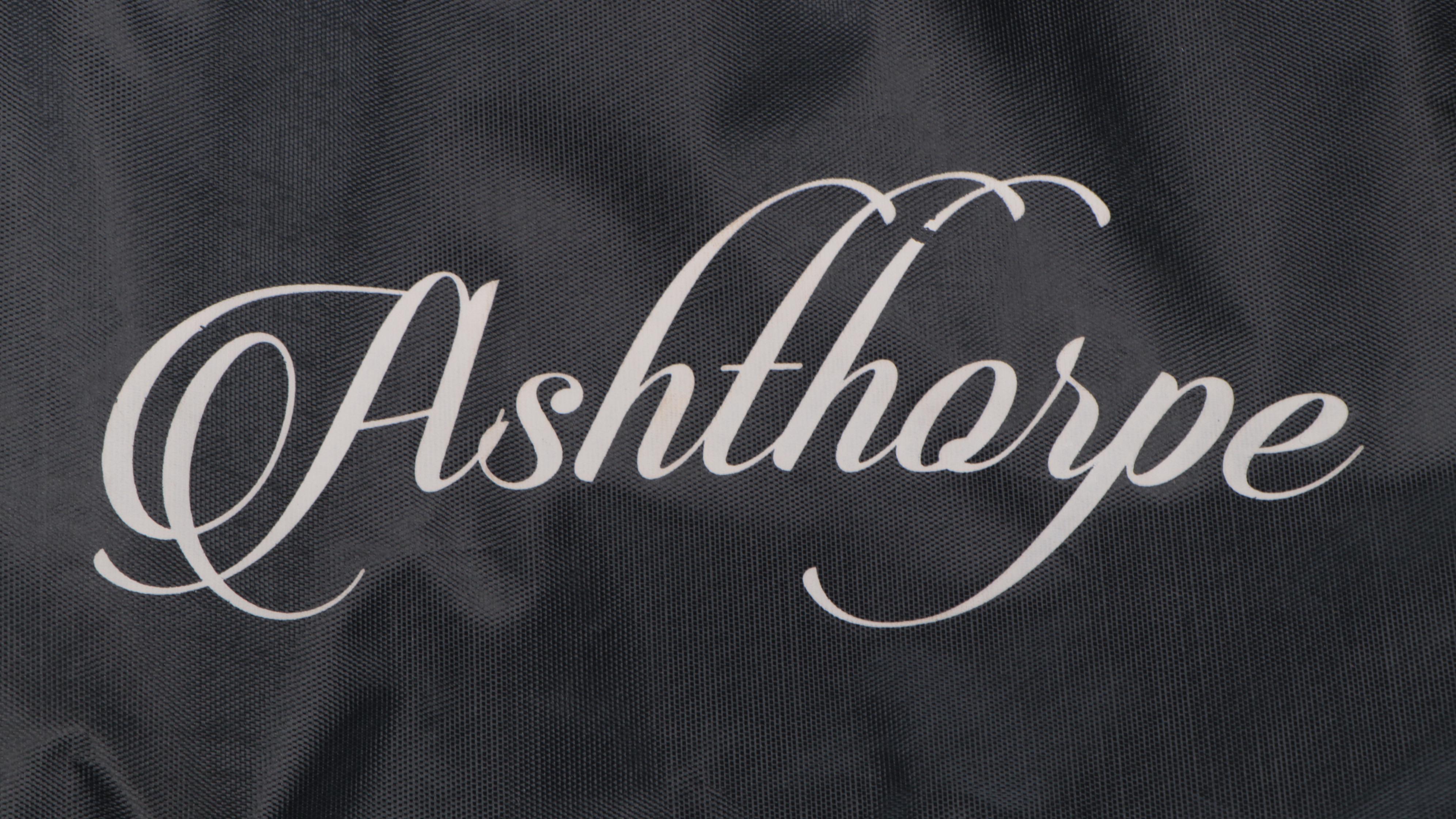 Taylor Swift Signed Ashthorpe Acoustic Guitar