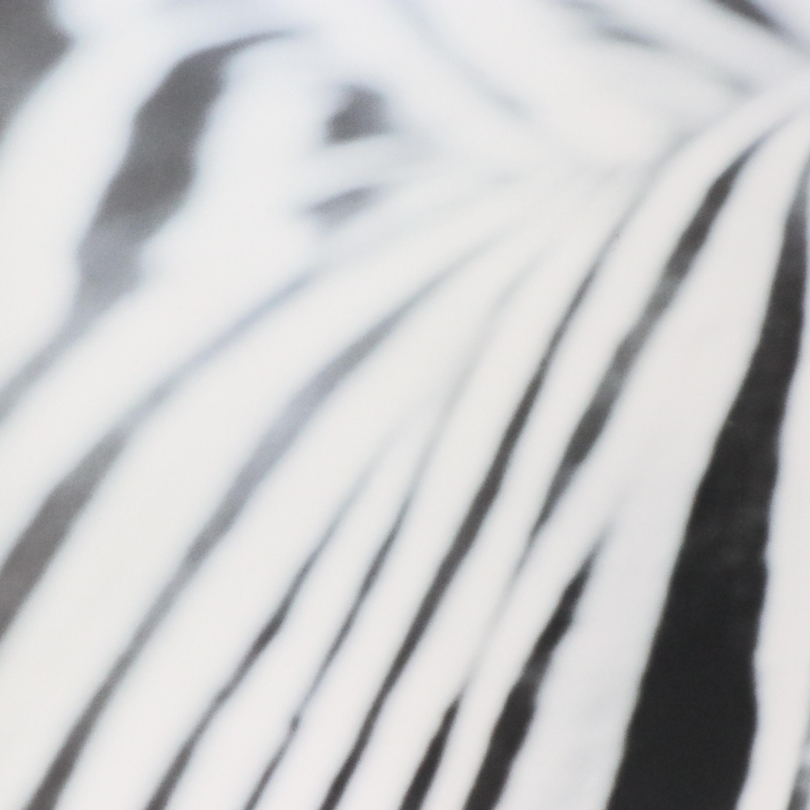 IKEA Offset Lithograph After Richard Lewisohn "Zebra"