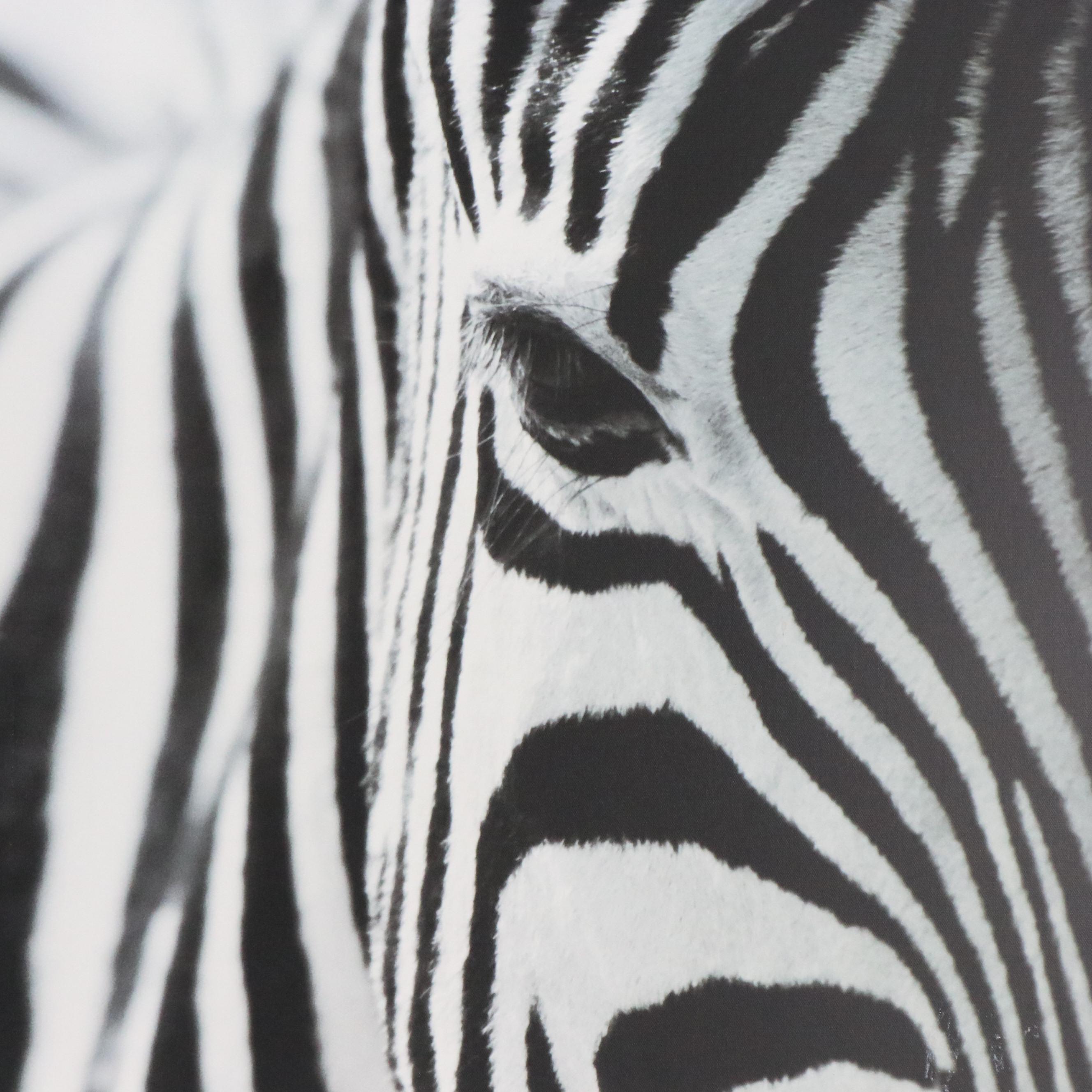 IKEA Offset Lithograph After Richard Lewisohn "Zebra"