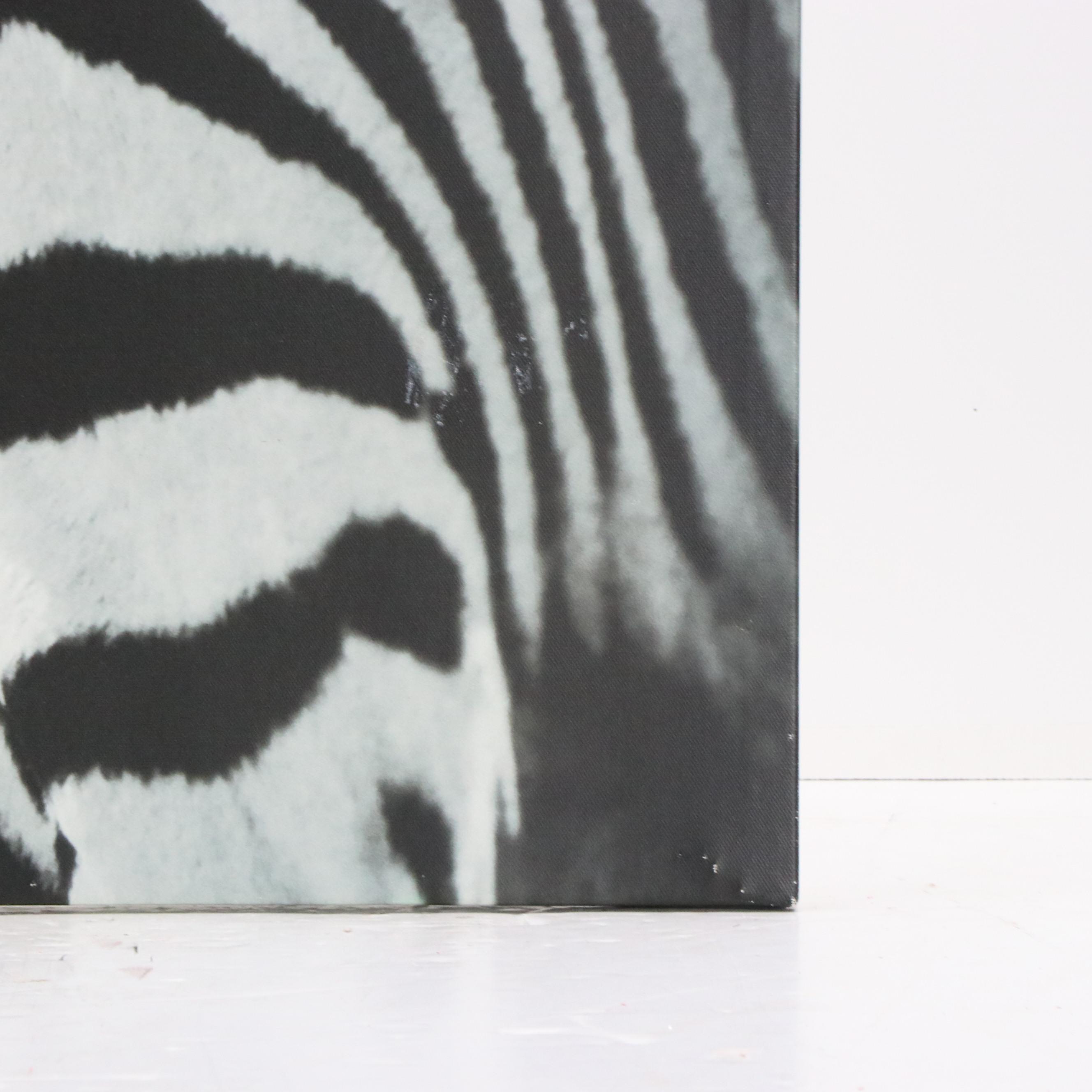 IKEA Offset Lithograph After Richard Lewisohn "Zebra"