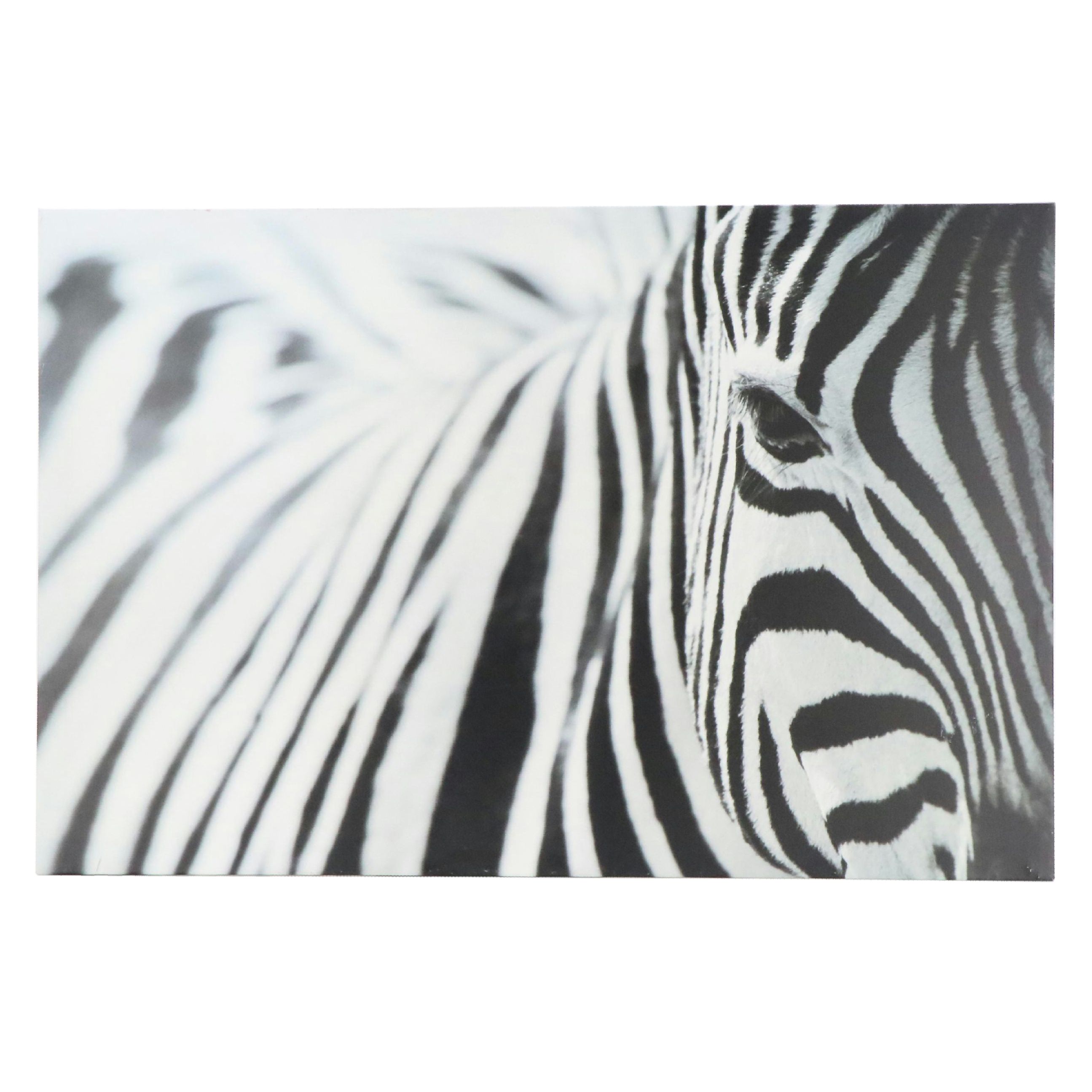 IKEA Offset Lithograph After Richard Lewisohn "Zebra"