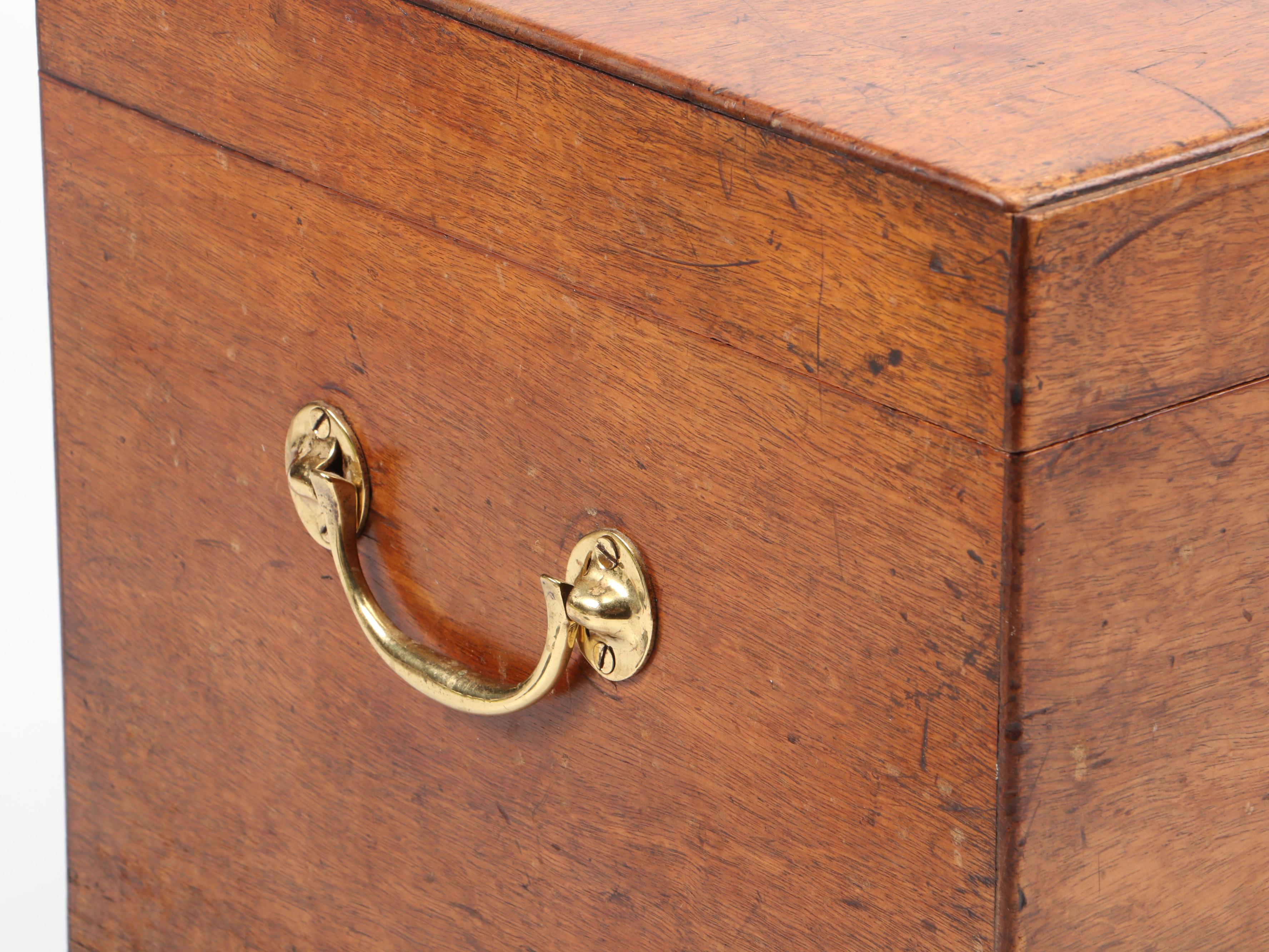 Finished Wood Compendium Box with Brass Handles