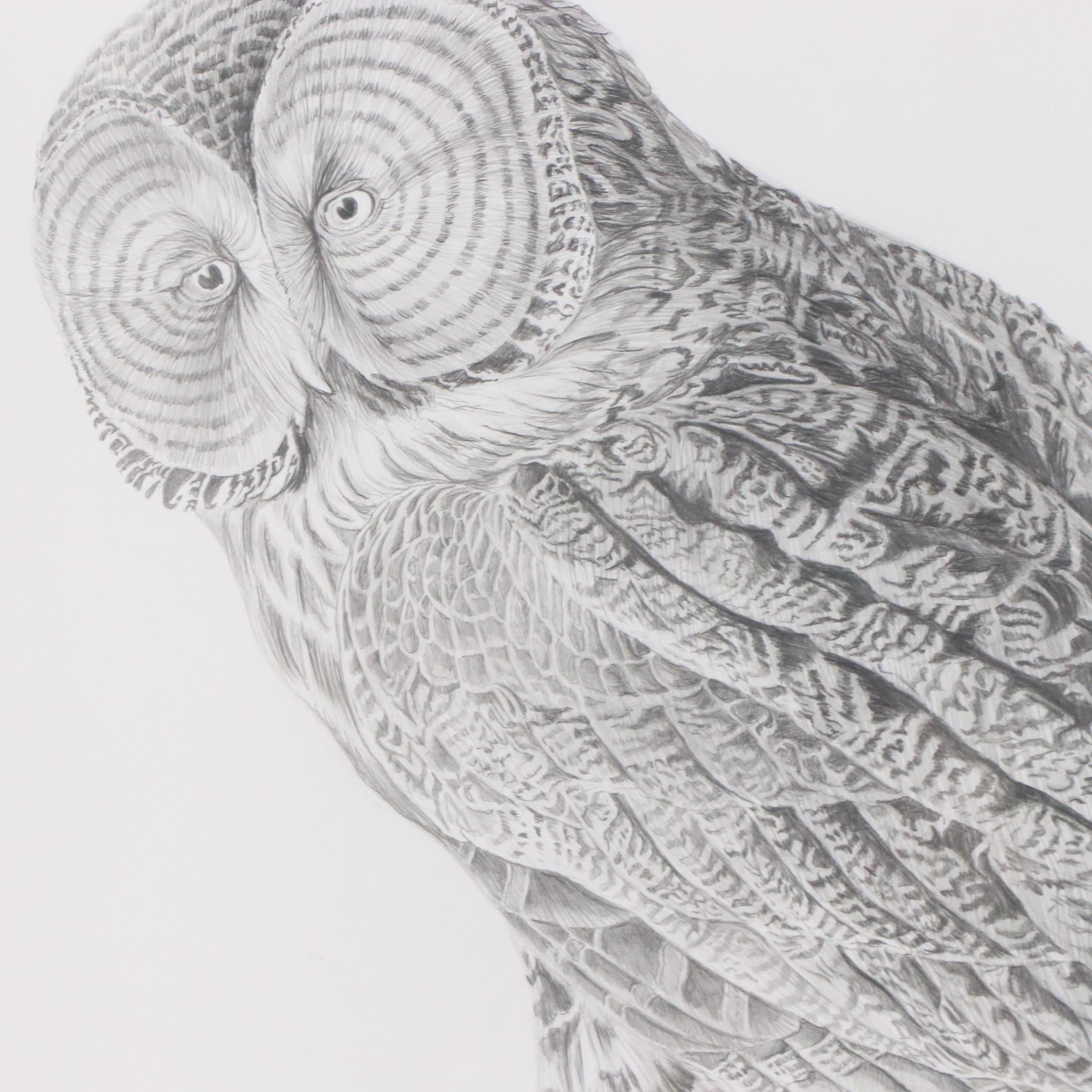 James L. Bruch Graphite Drawing "Study of Great Gray Owl," 1982 EBTH