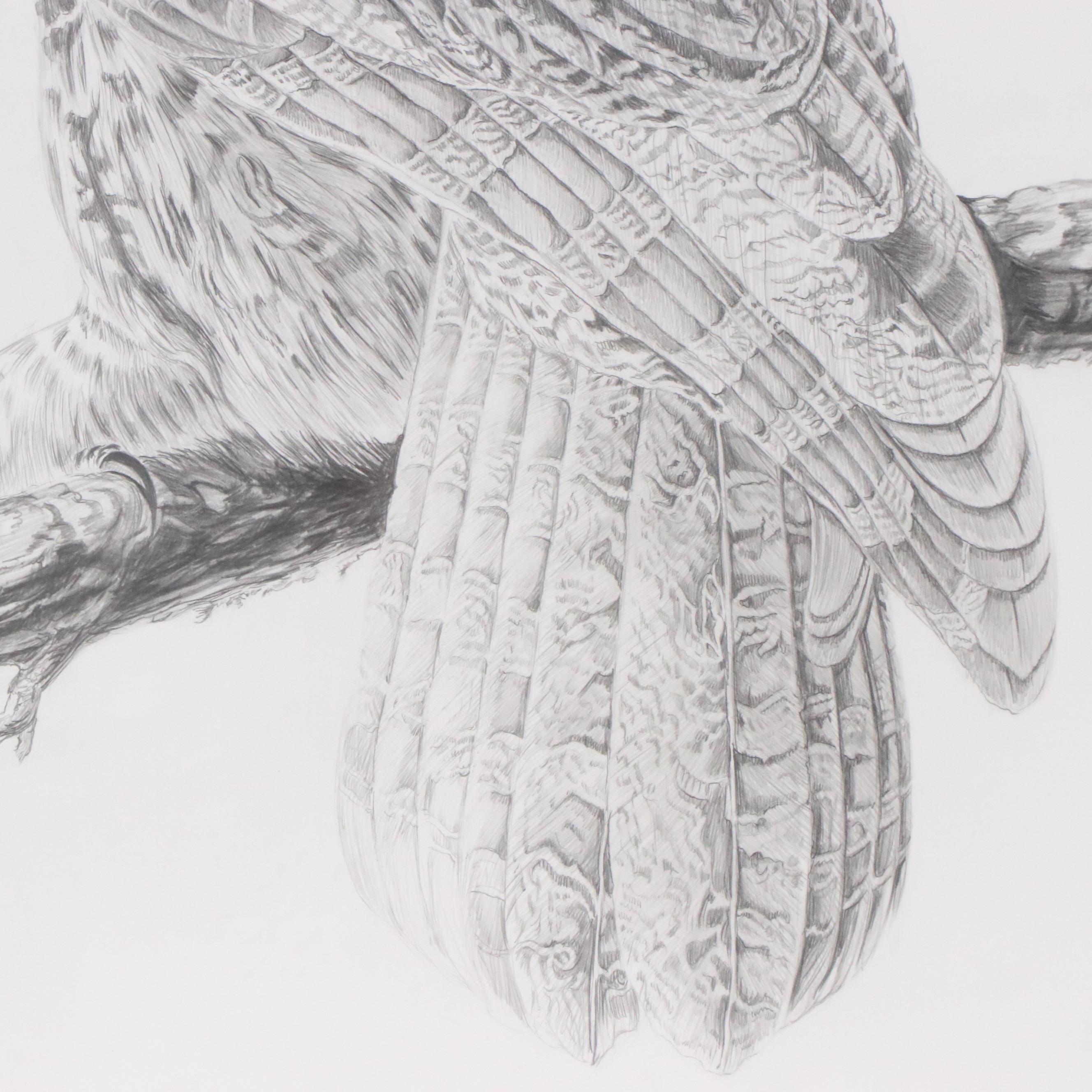 James L. Bruch Graphite Drawing "Study of Great Gray Owl," 1982 EBTH