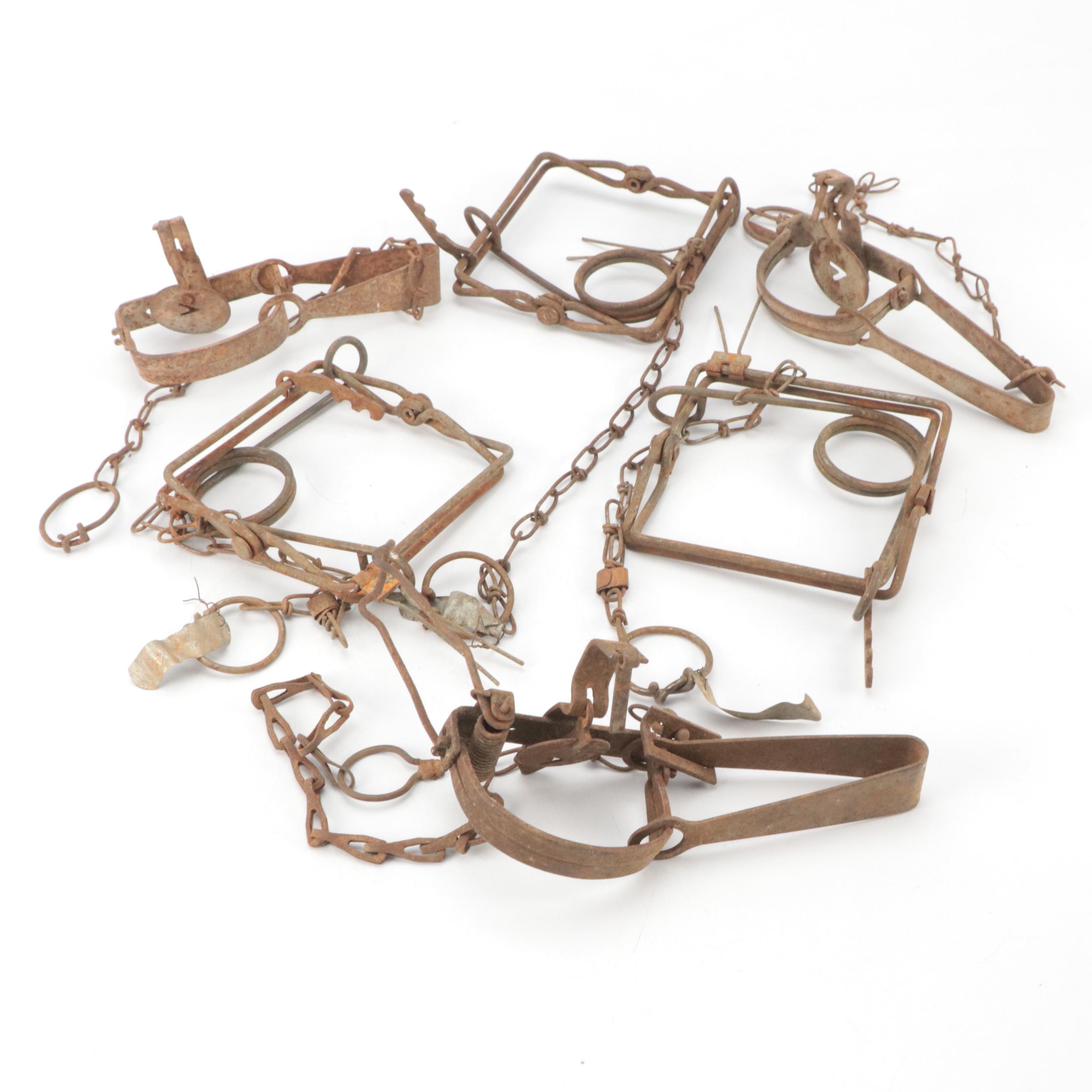 Oneida Victor No. 1 and Other Metal Traps, Early 20th Century