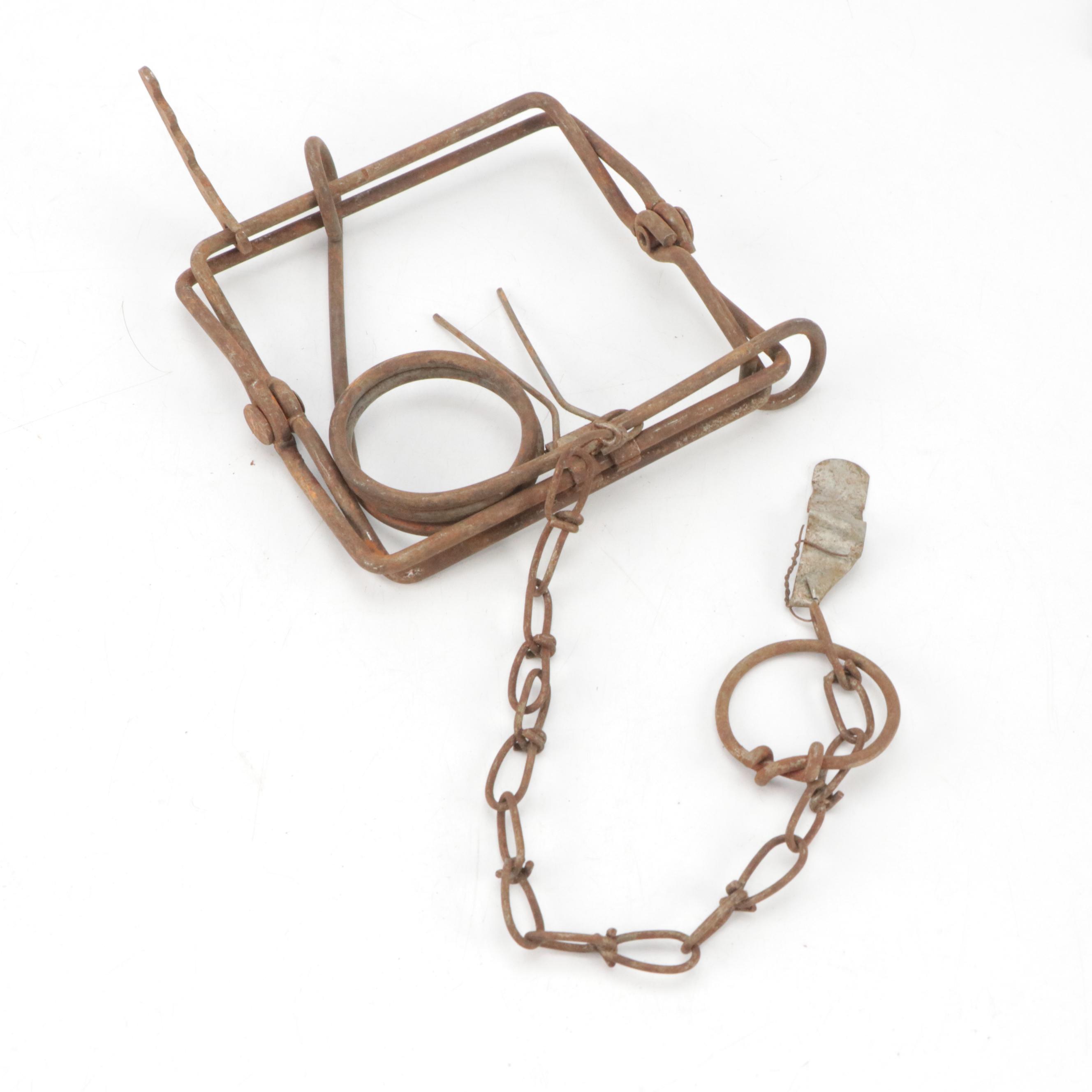 Oneida Victor No. 1 and Other Metal Traps, Early 20th Century