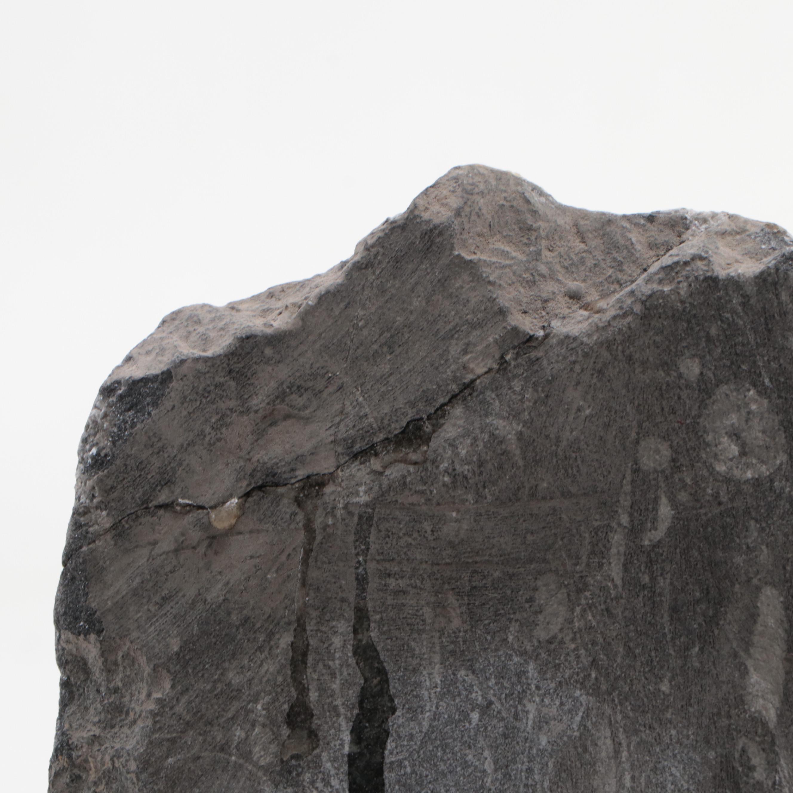 Polished Orthoceras and Ammonoid Composite Fossil Plate and Pyramid