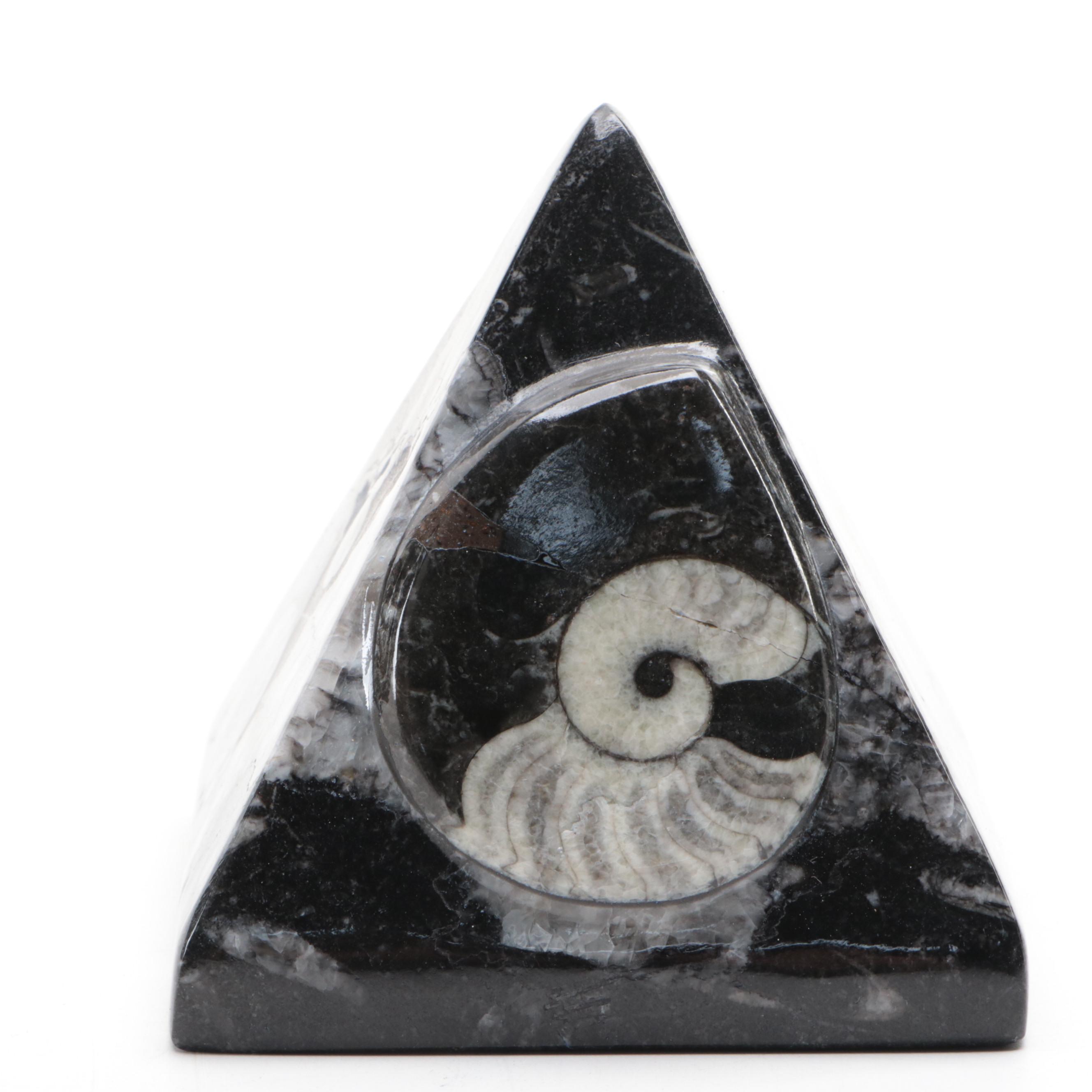 Polished Orthoceras and Ammonoid Composite Fossil Plate and Pyramid