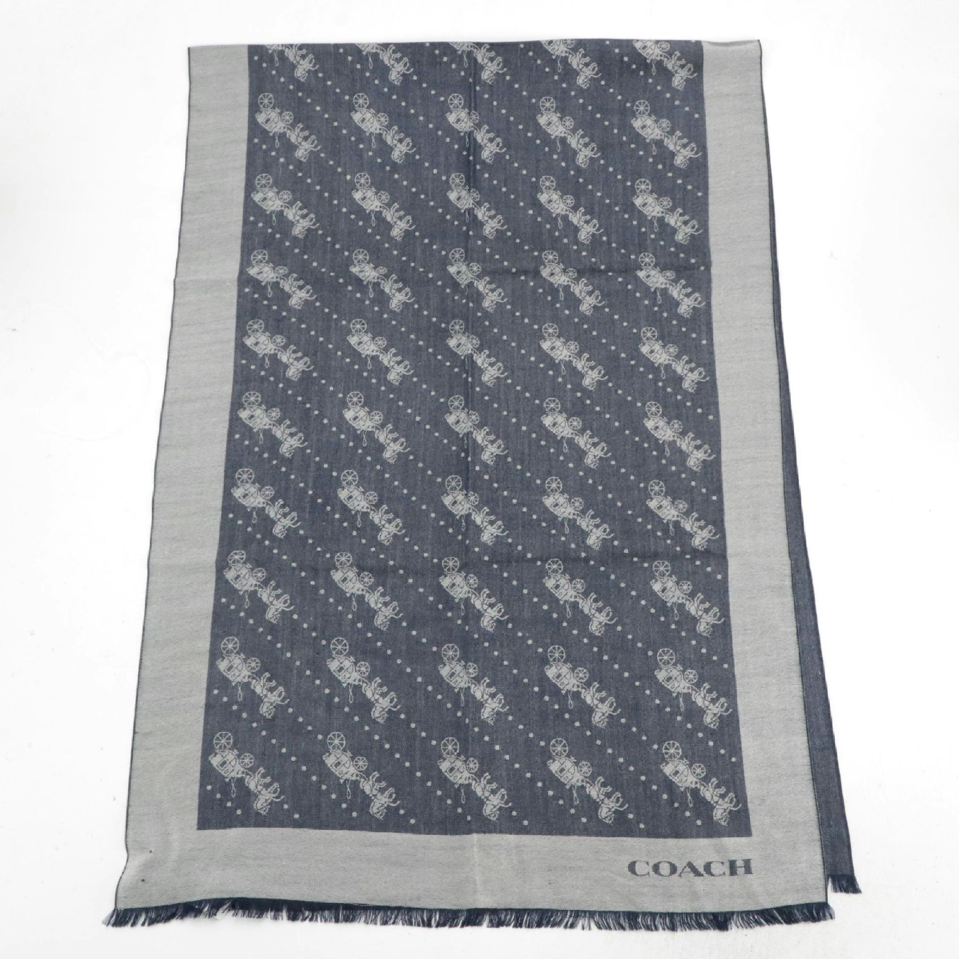 Coach outlet Varsity Sport Scarf