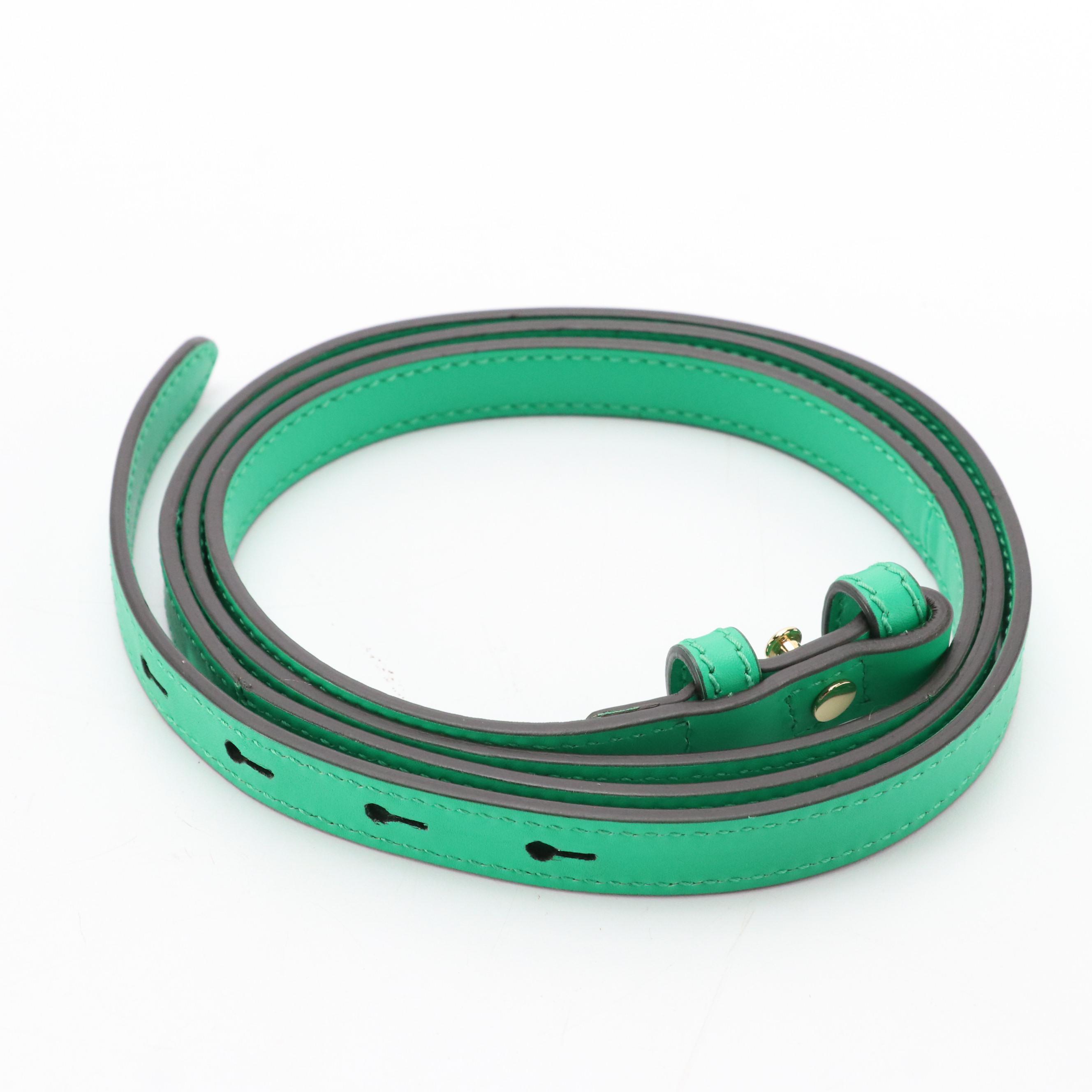 Gucci Sylvie Web Chain Two-Way Bag in Green Leather