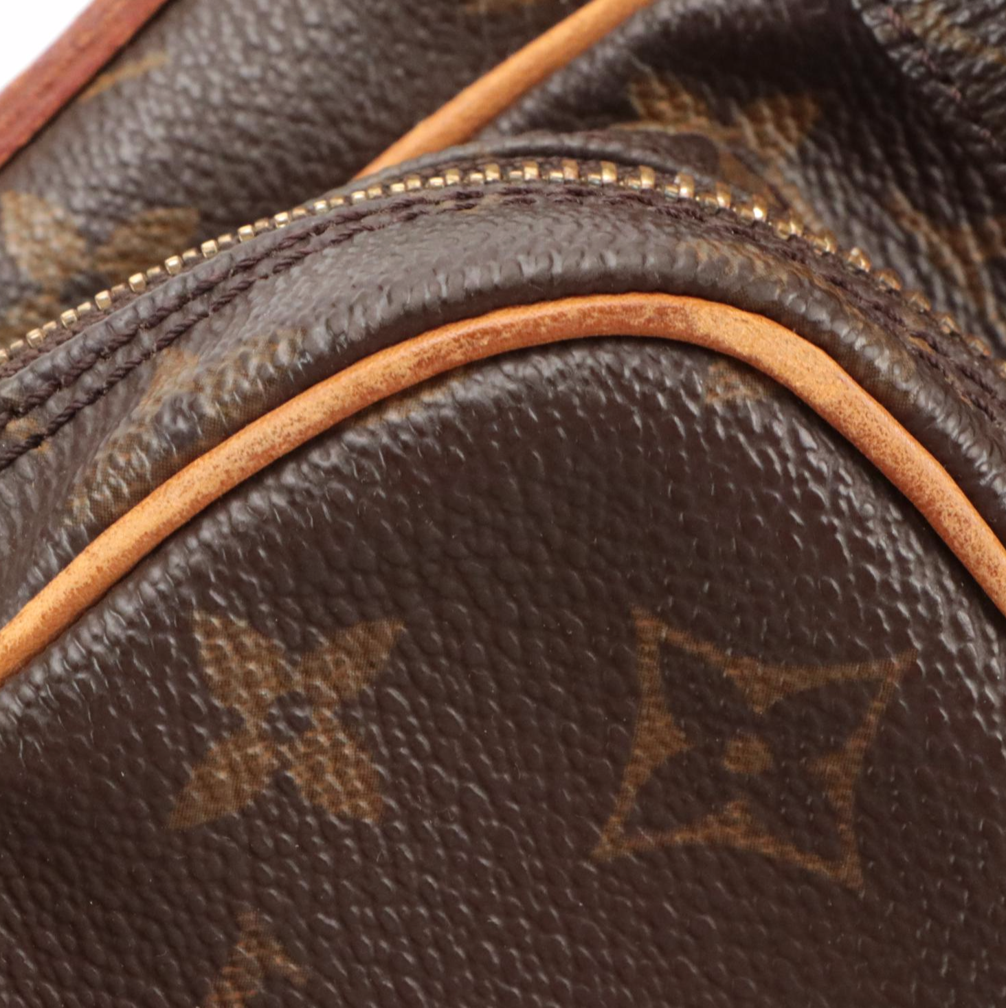 Louis Vuitton Amazone Crossbody Bag in Monogram Canvas