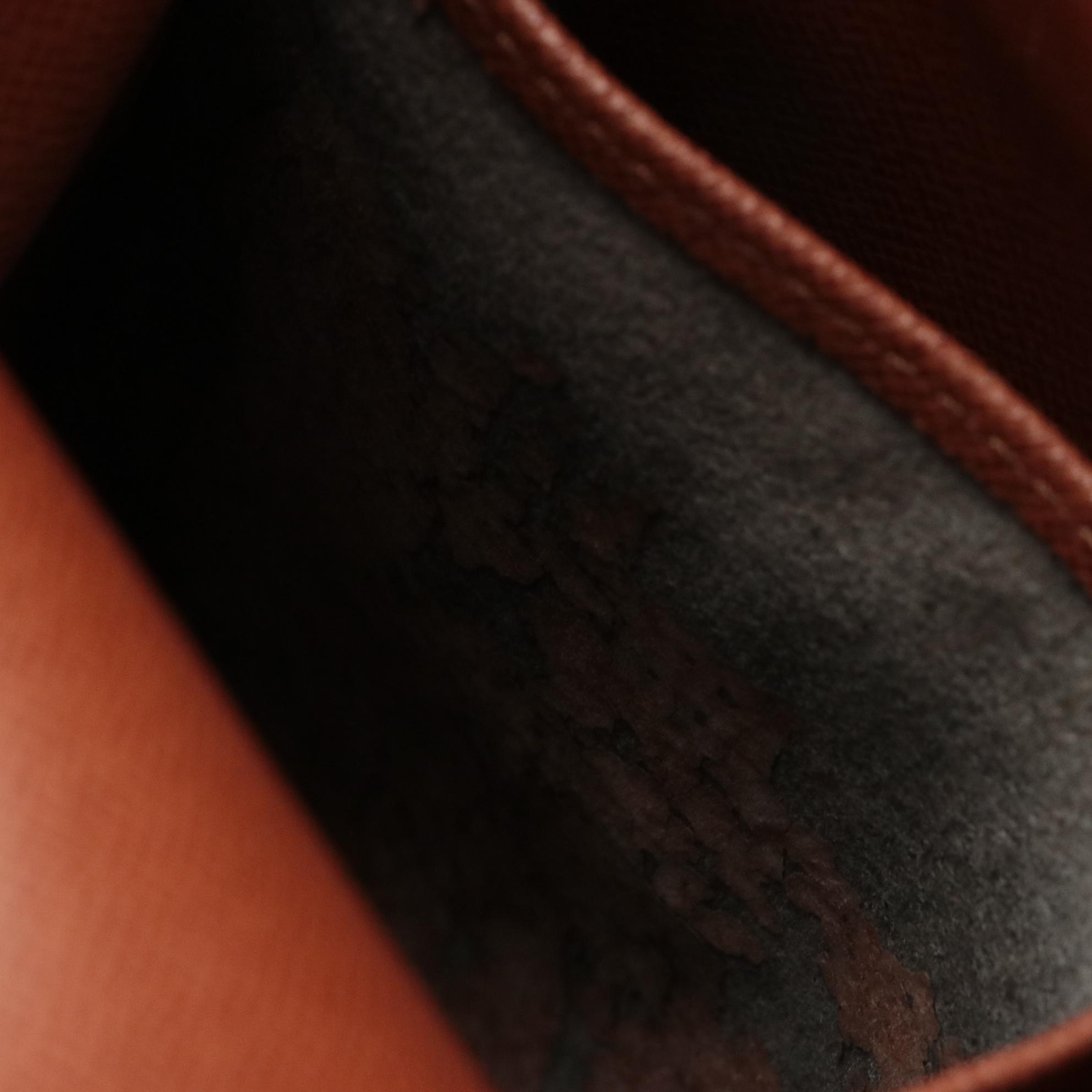 Louis Vuitton Amazone Crossbody Bag in Monogram Canvas