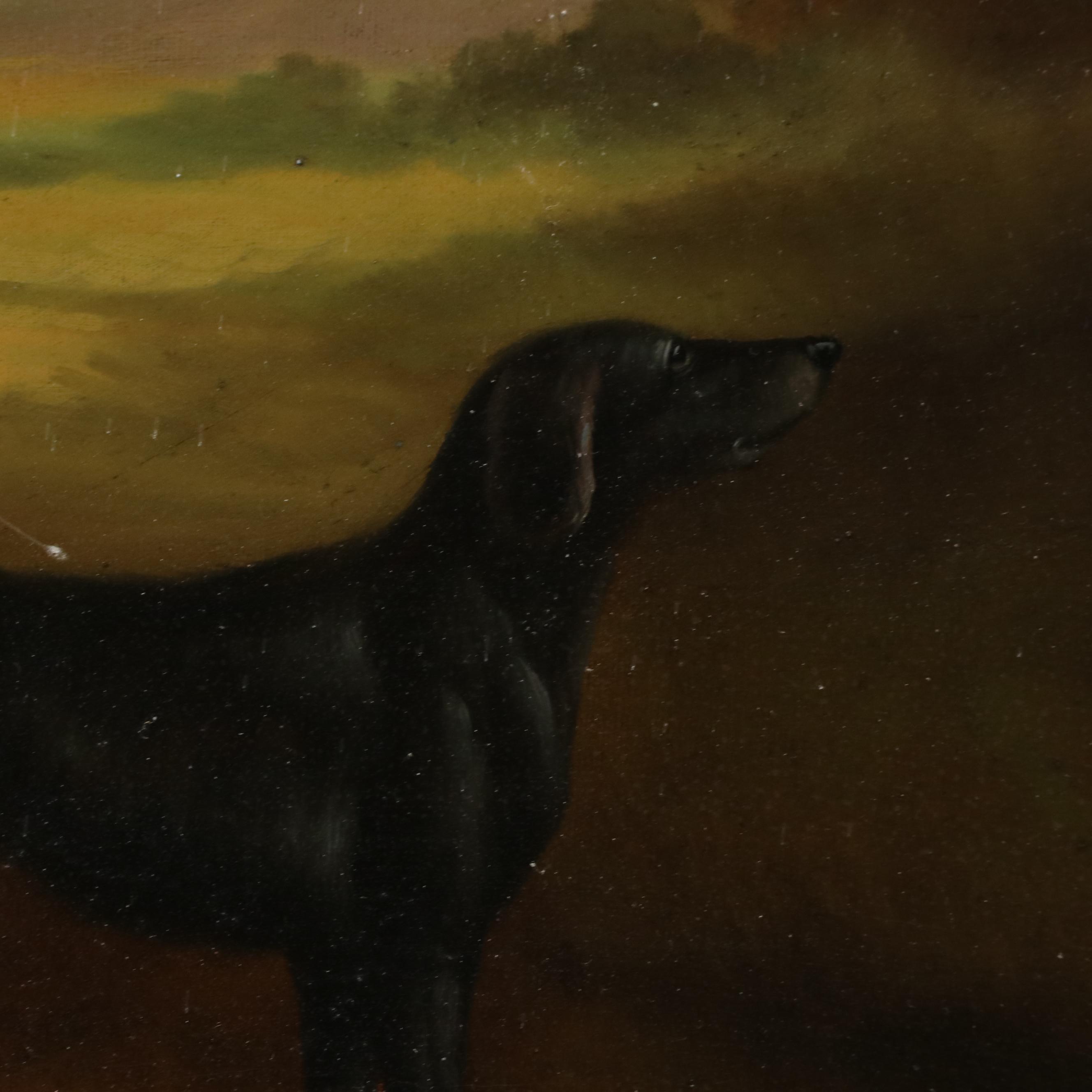 Richard Hines Equine Portrait of White Horse Oil Painting