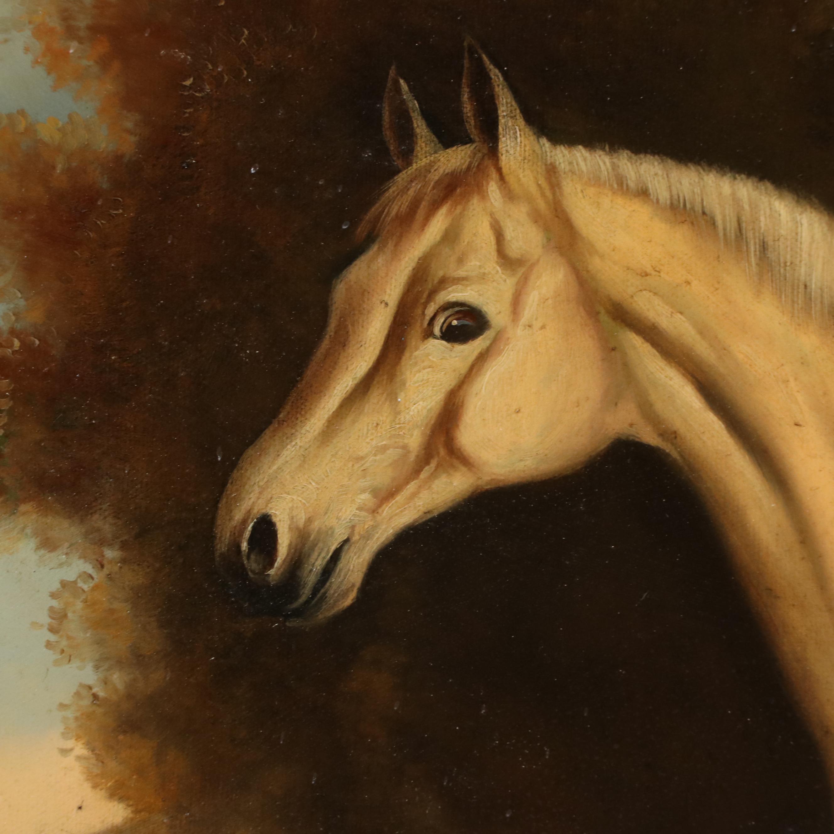Richard Hines Equine Portrait of White Horse Oil Painting