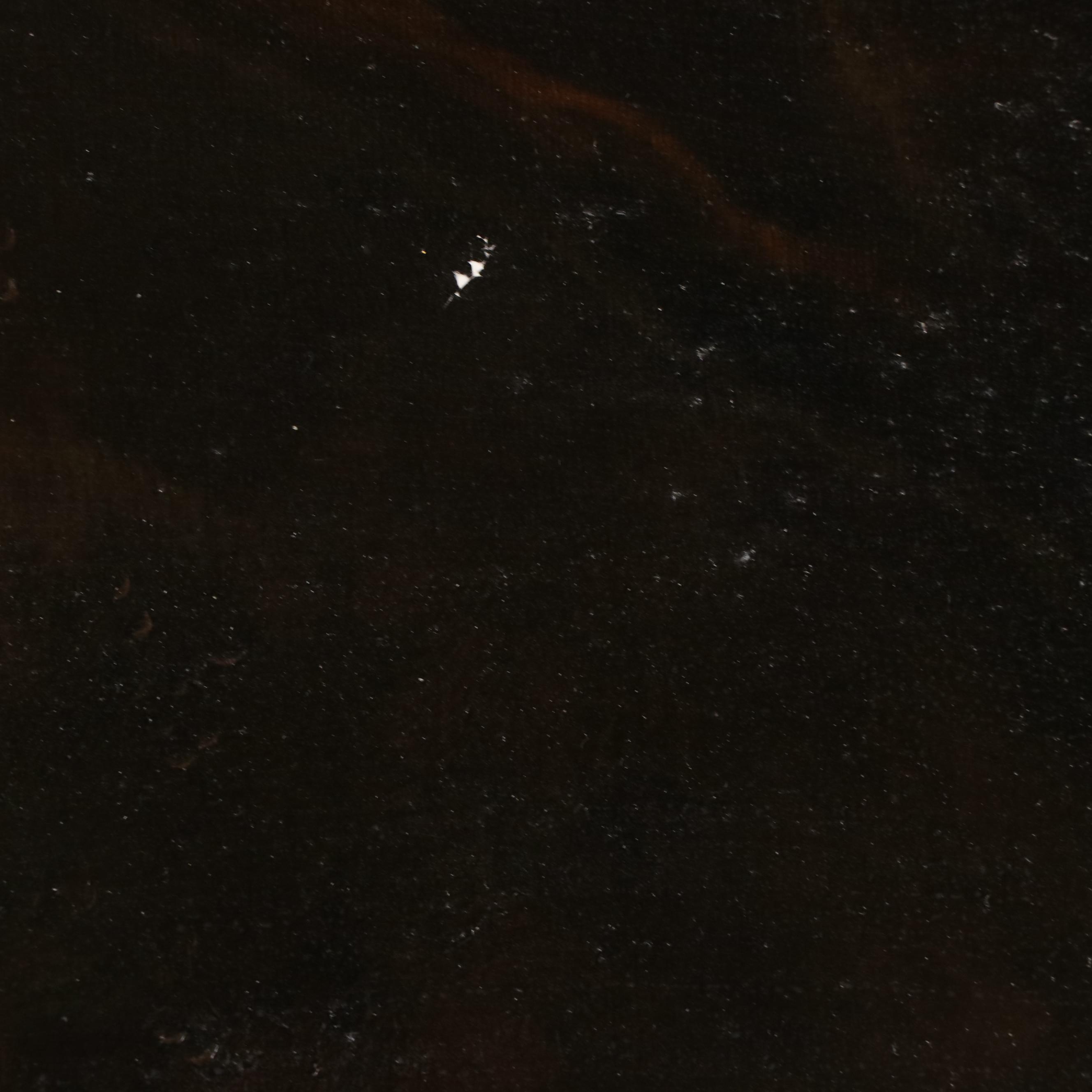 Richard Hines Equine Portrait of White Horse Oil Painting