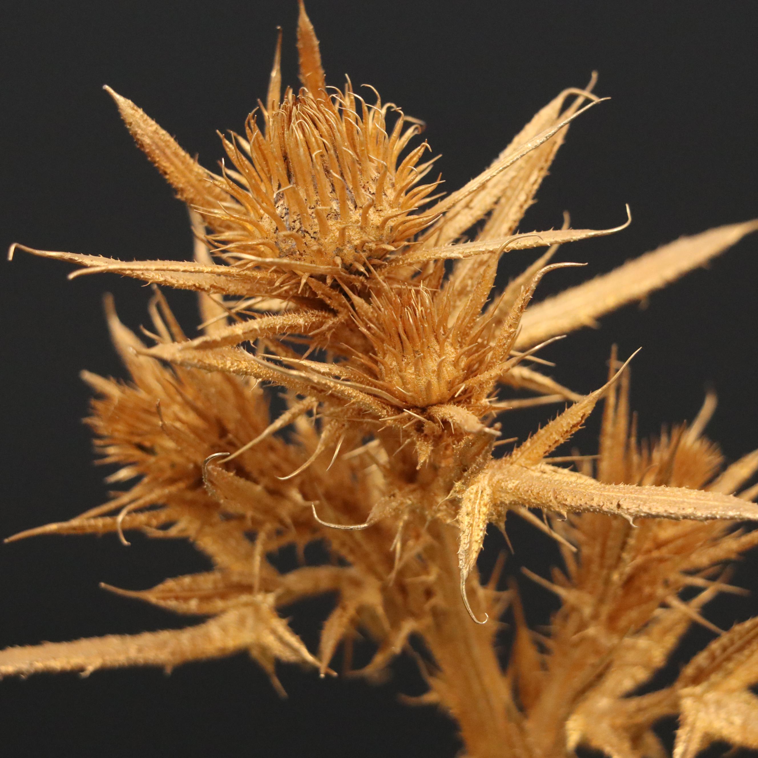 James Houston for Steuben "Thistle Rock" Art Glass and 18K Gilt Figurine, 1976