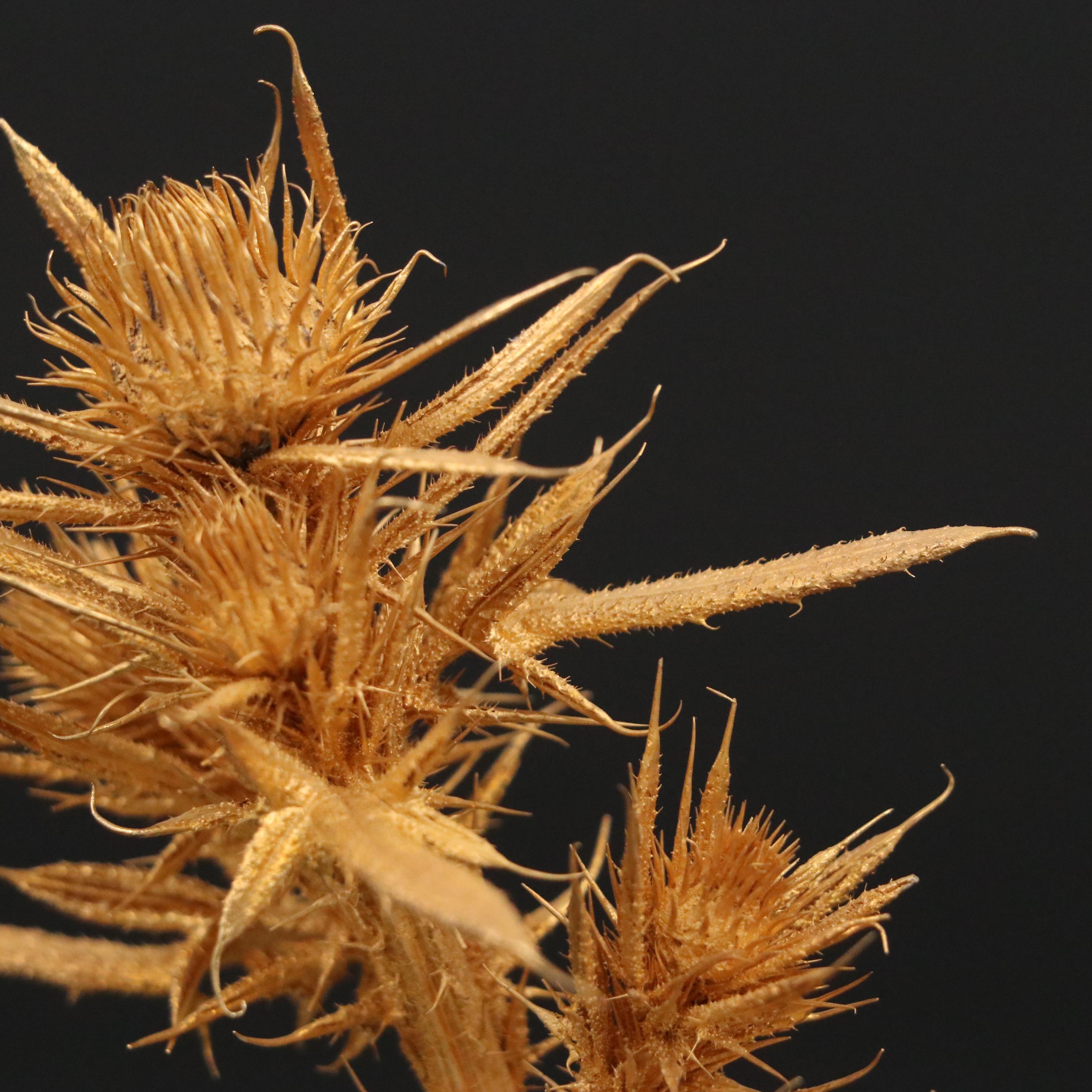 James Houston for Steuben "Thistle Rock" Art Glass and 18K Gilt Figurine, 1976