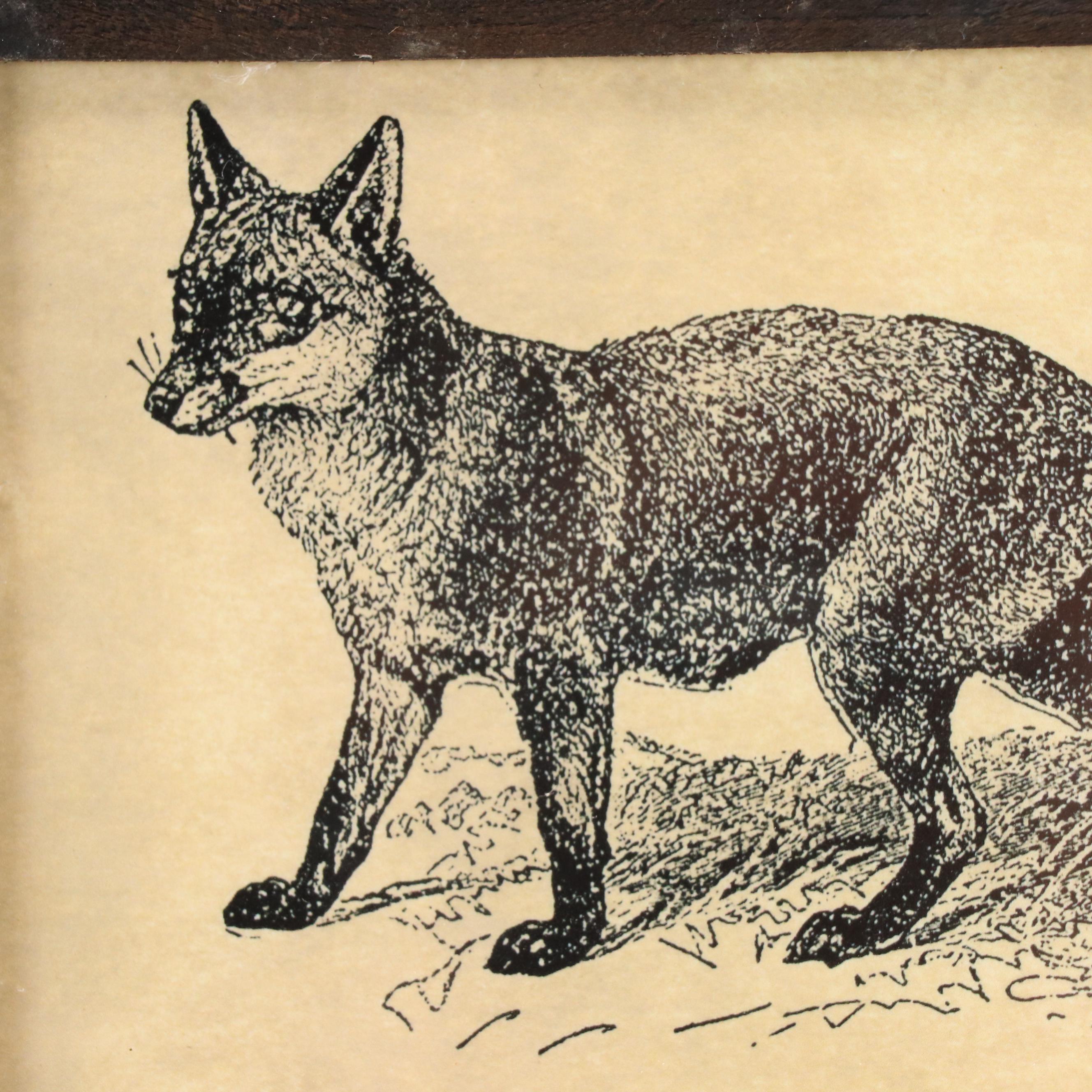 Fox Prints Including Guy Coheleach Offset Lithograph