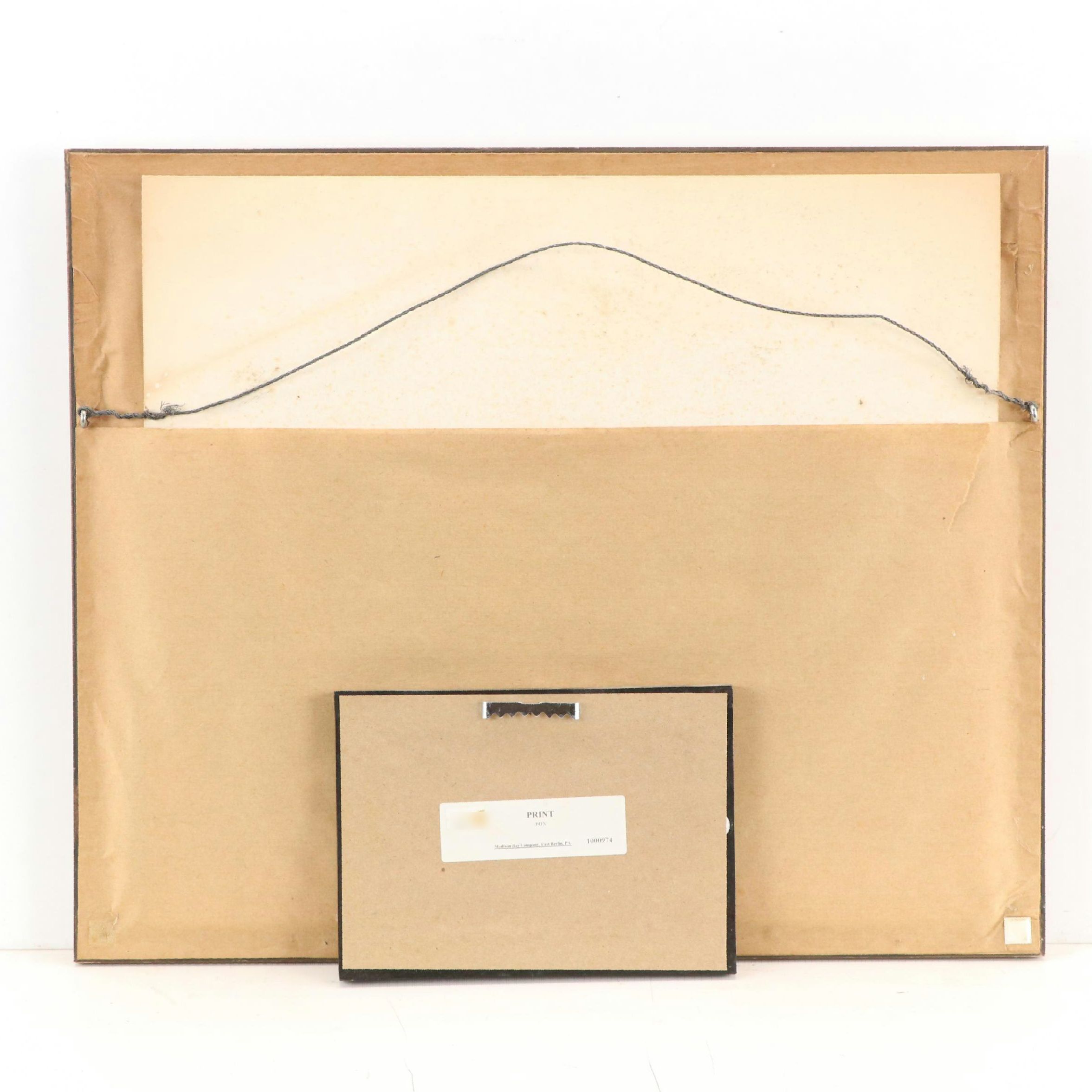 Fox Prints Including Guy Coheleach Offset Lithograph