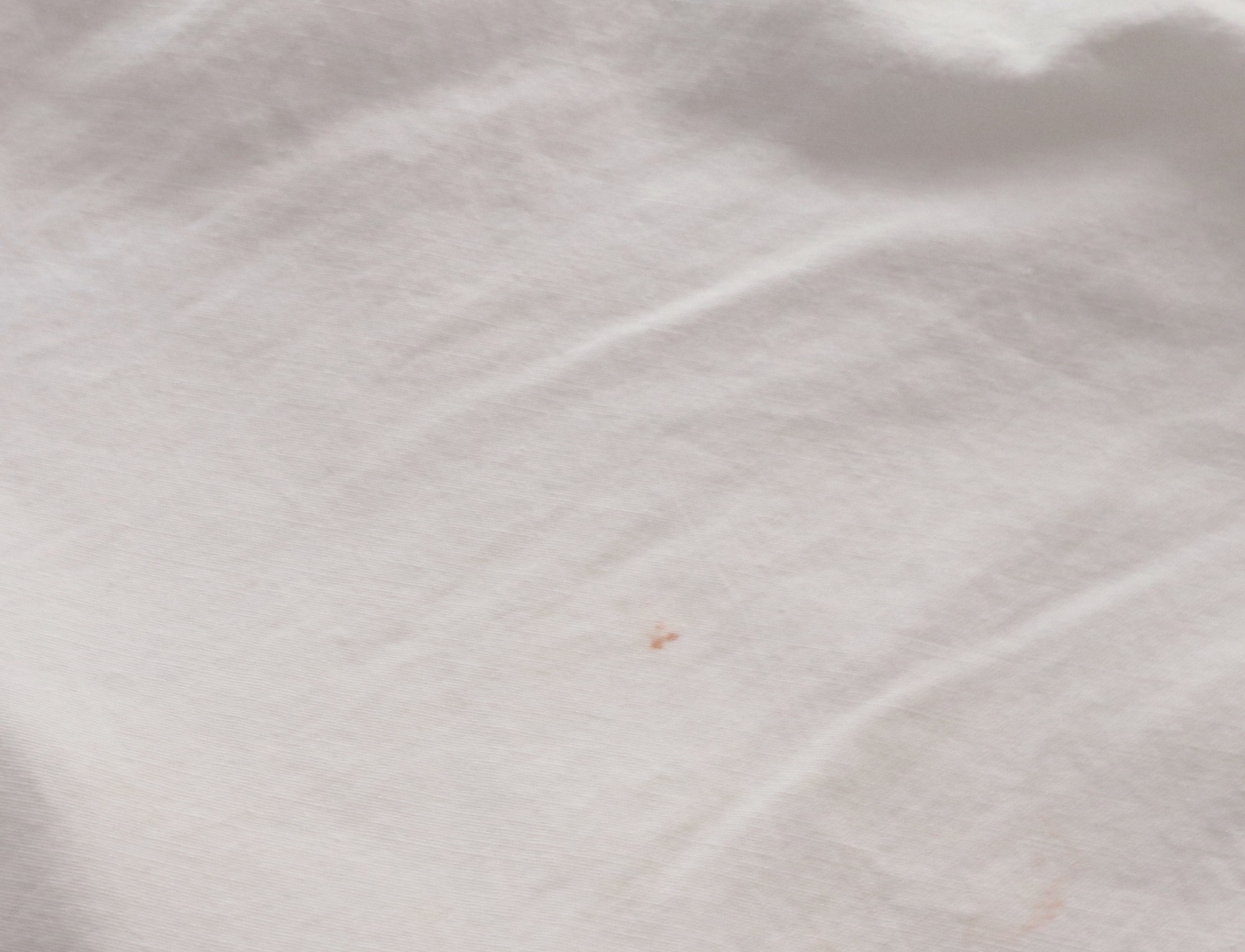 Wrought Iron Queen Bed Frame with Side Table and Floral Appliqué Cotton Bedding