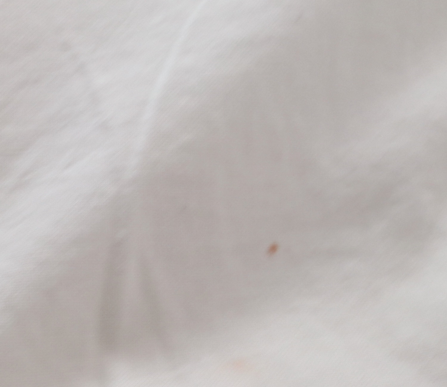 Wrought Iron Queen Bed Frame with Side Table and Floral Appliqué Cotton Bedding