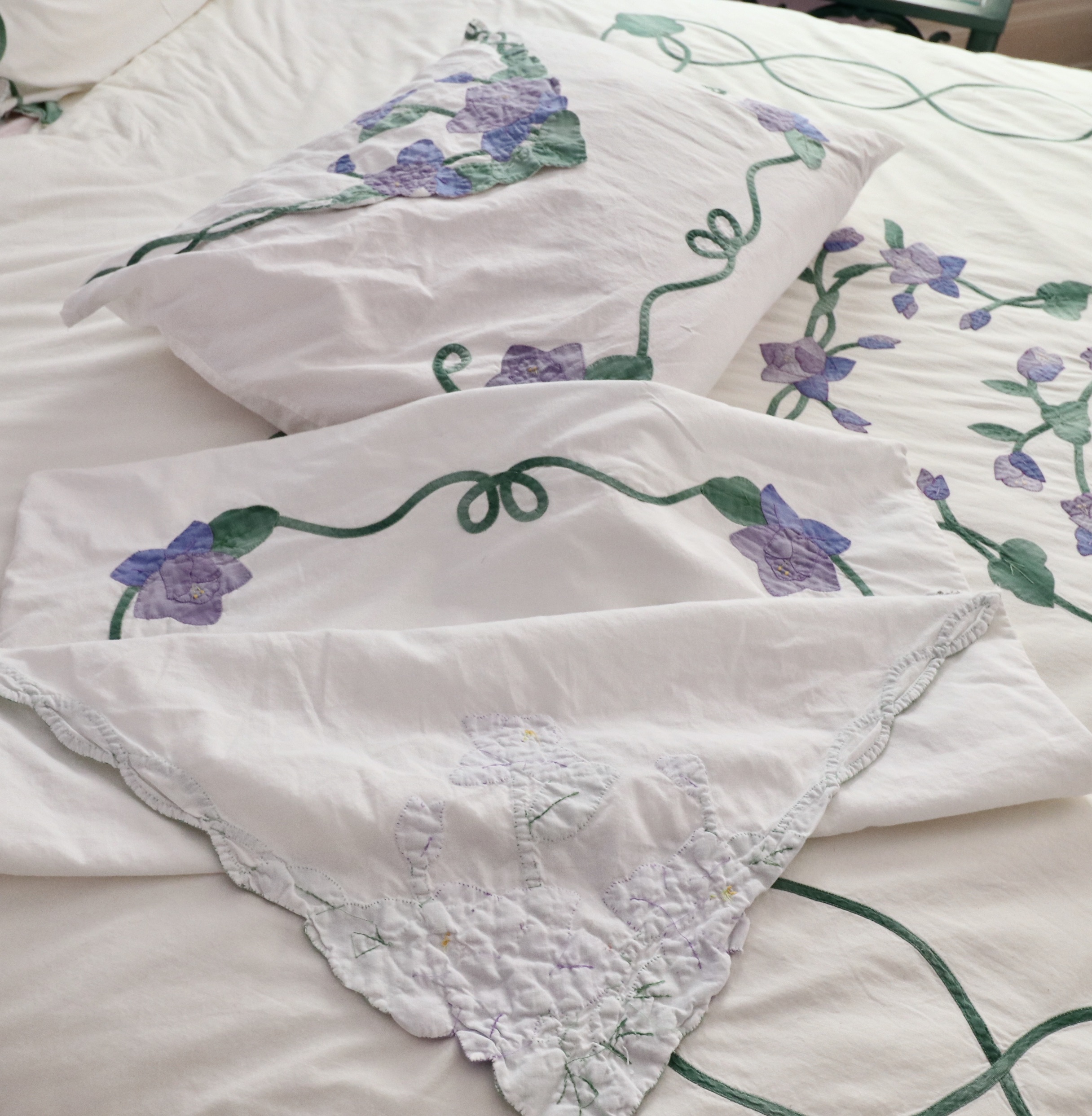 Wrought Iron Queen Bed Frame with Side Table and Floral Appliqué Cotton Bedding