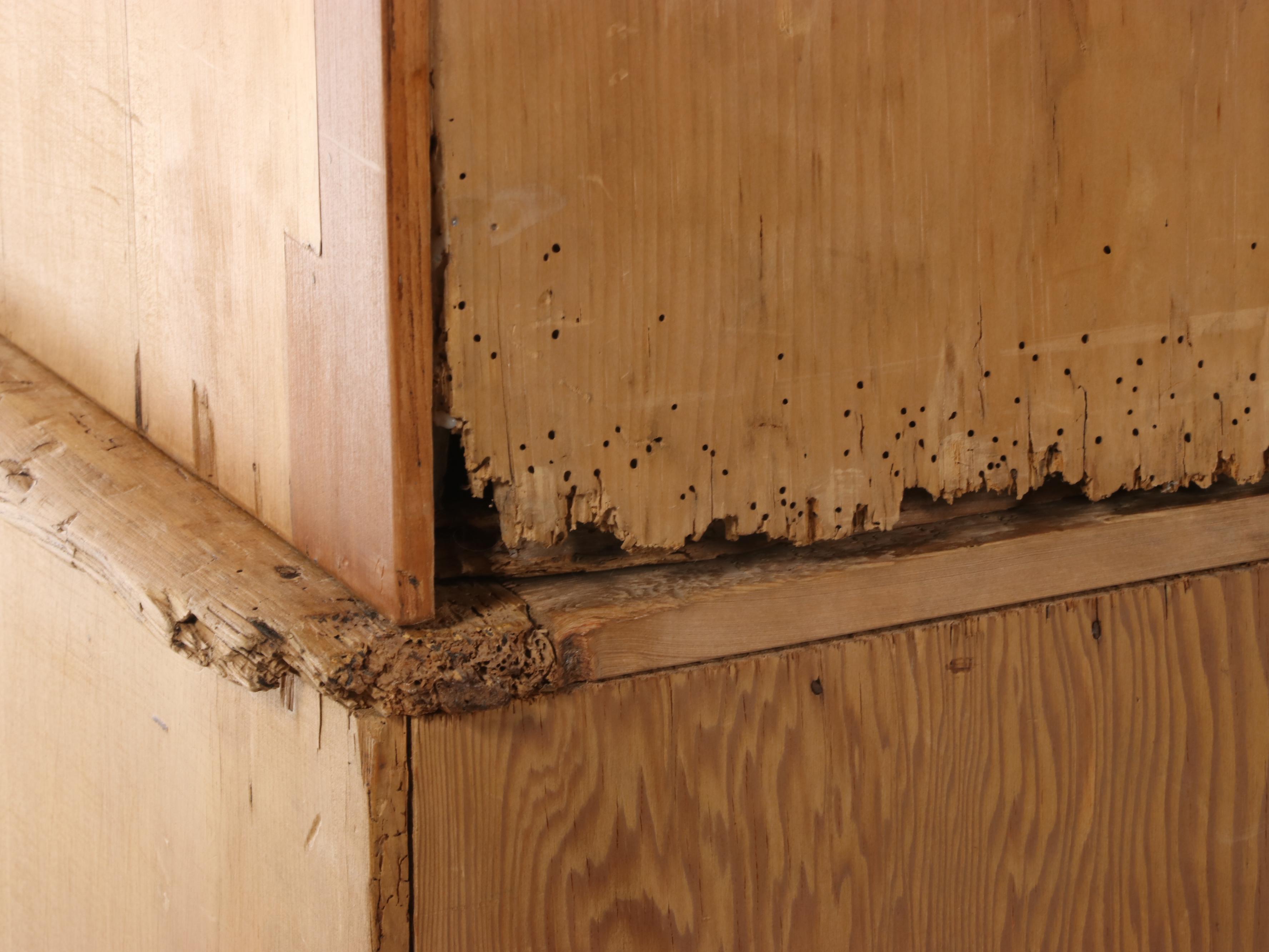 Victorian Pine Linen Press, Late 19th Century