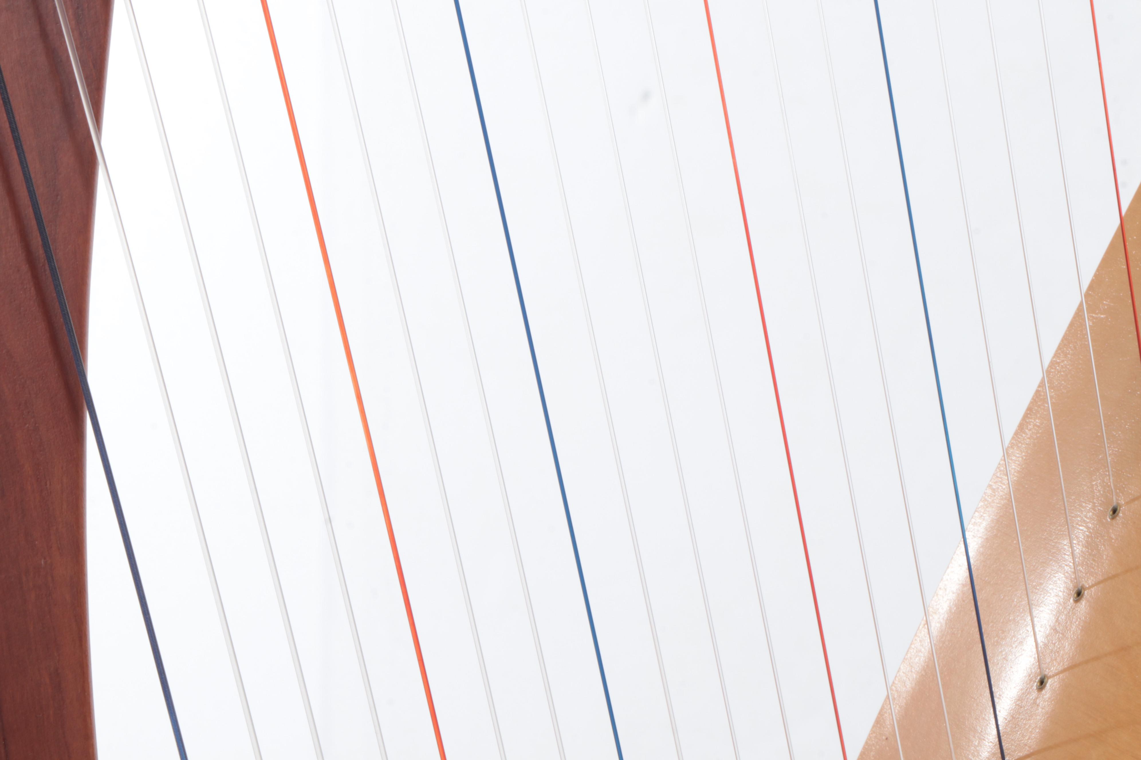 Blevins Cherry Wood Mezzo 23 Harp with Soft Case, 2002