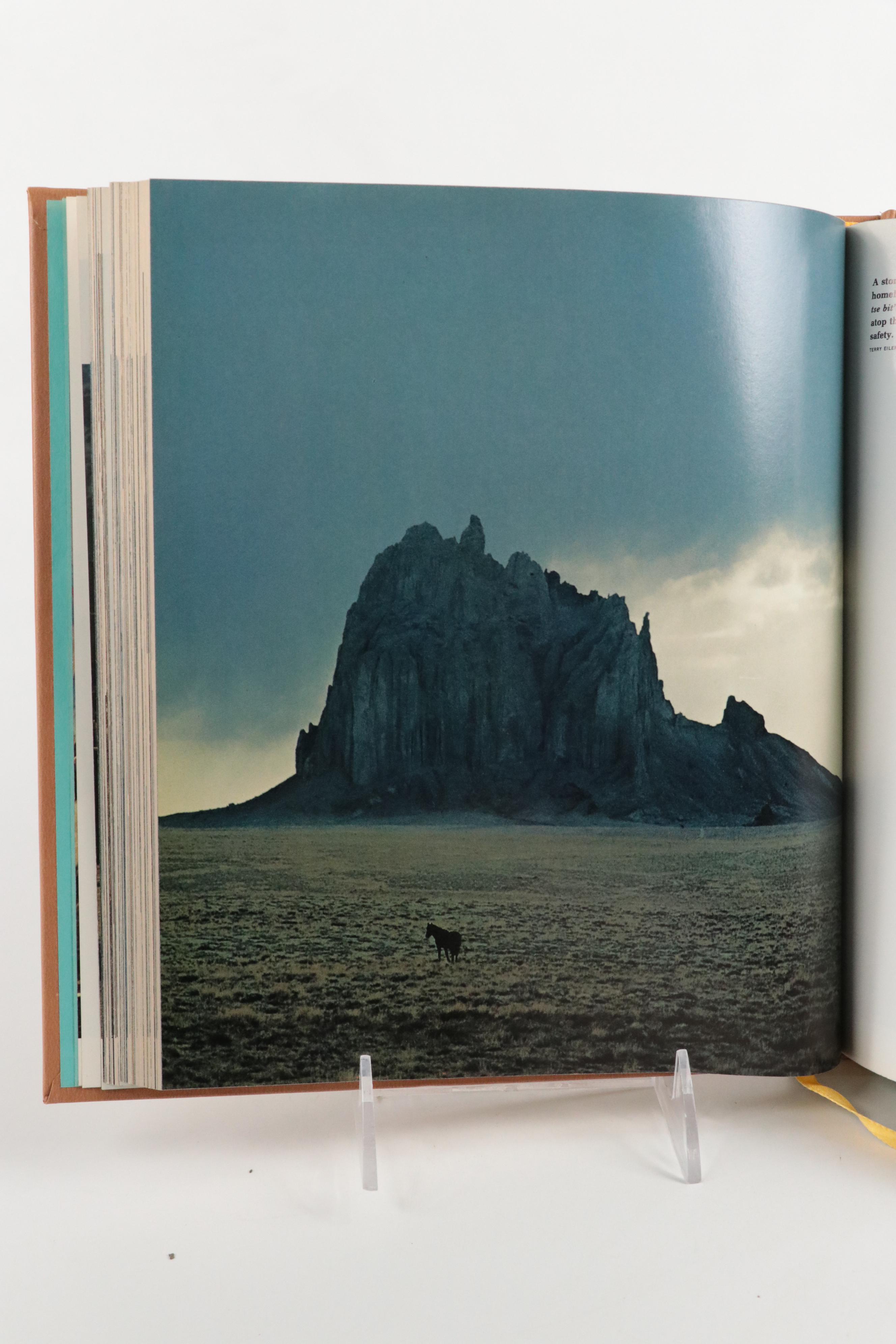 "Frederic Remington" by Gerald Peters Gallery and More Books